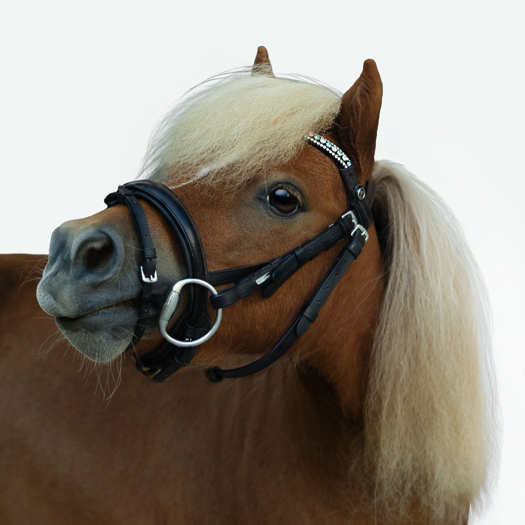 'Anastasia' leather bridle (convertible) (Lumi Pony) - Lumiere Equestrian
