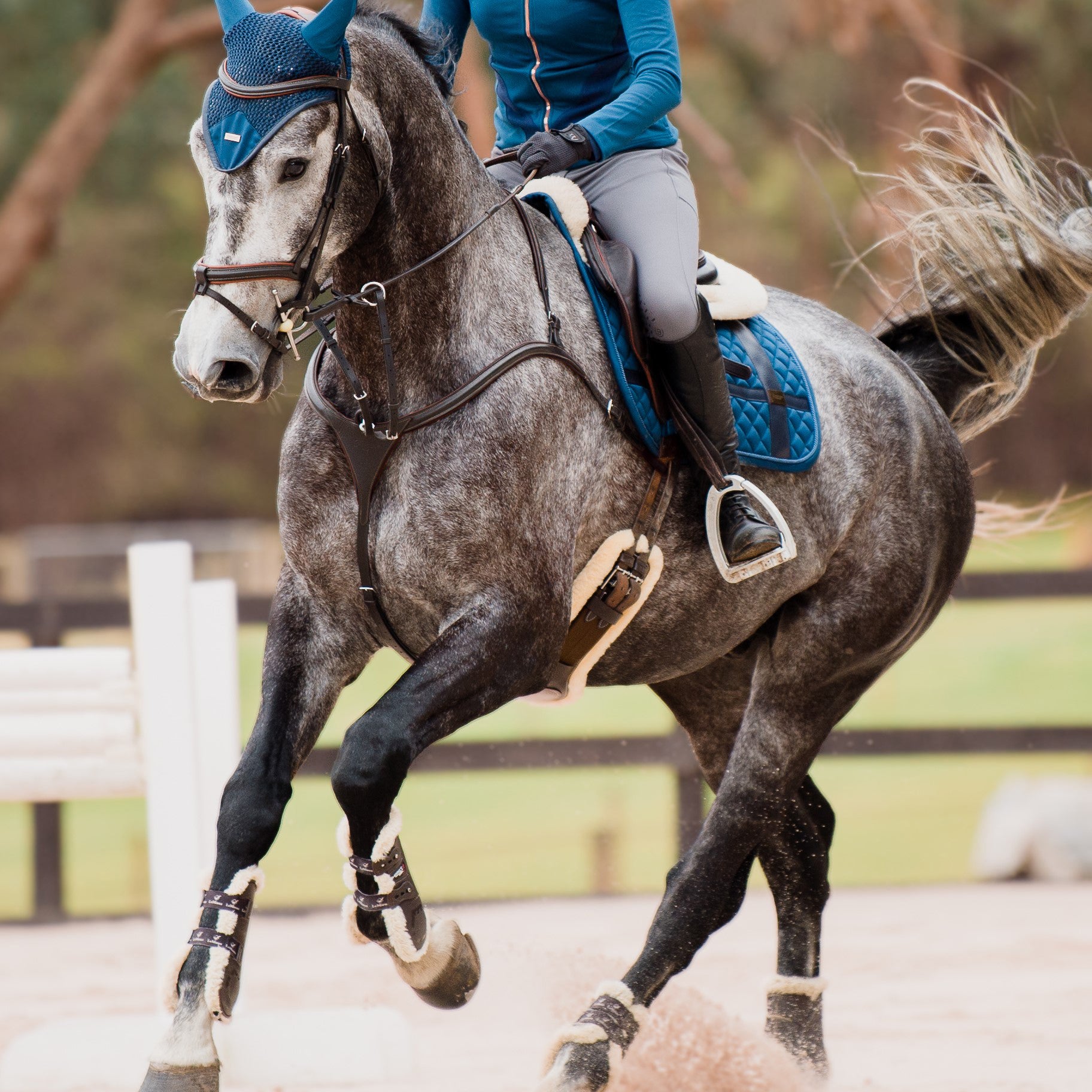 'Anka' Leather Breastplate - Various Colour Options - Lumiere Equestrian