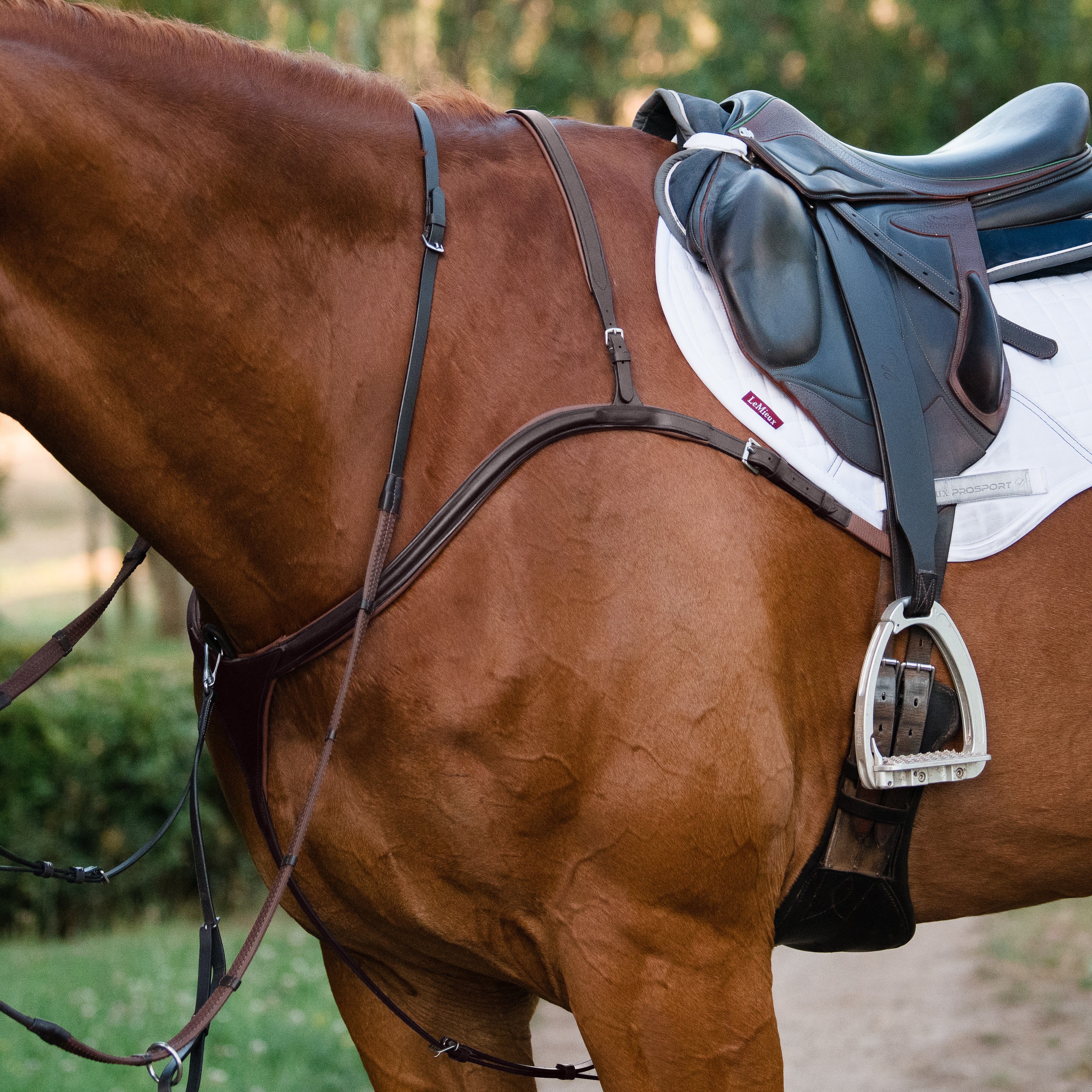 'Anka' Leather Breastplate - Various Colour Options - Lumiere Equestrian