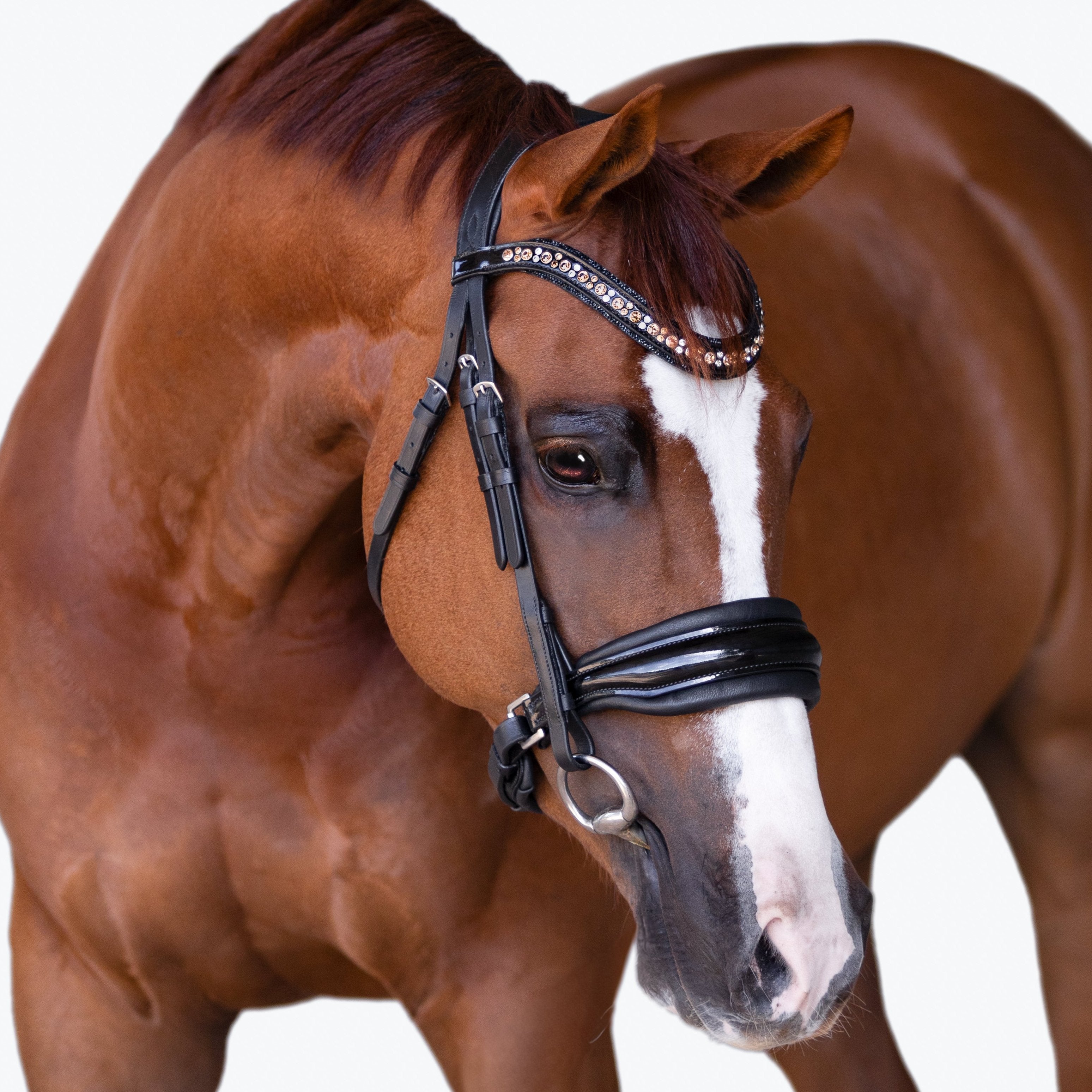 'Ariana' bridle (cavesson) - Lumiere Equestrian