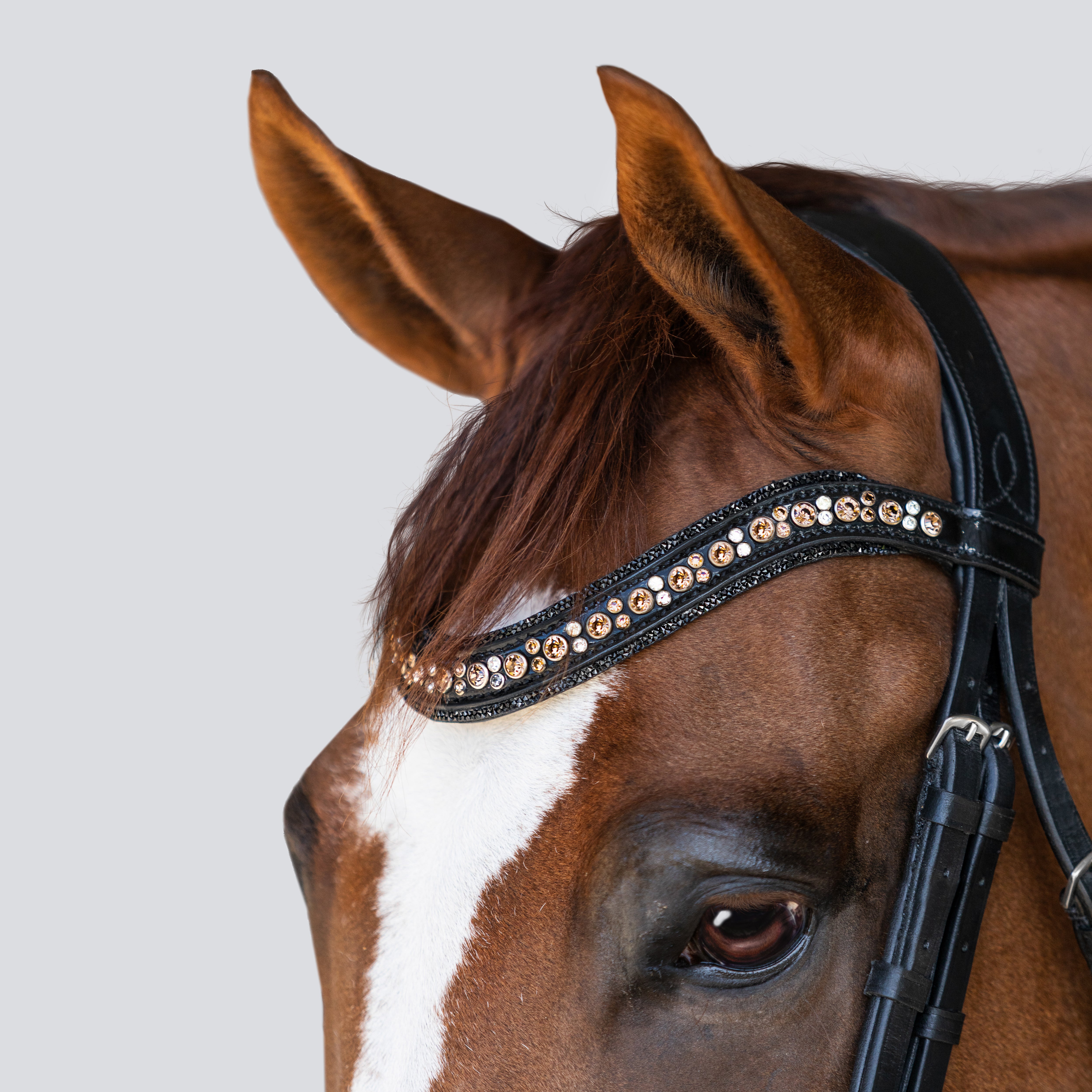 'Ariana' bridle (cavesson) - Lumiere Equestrian
