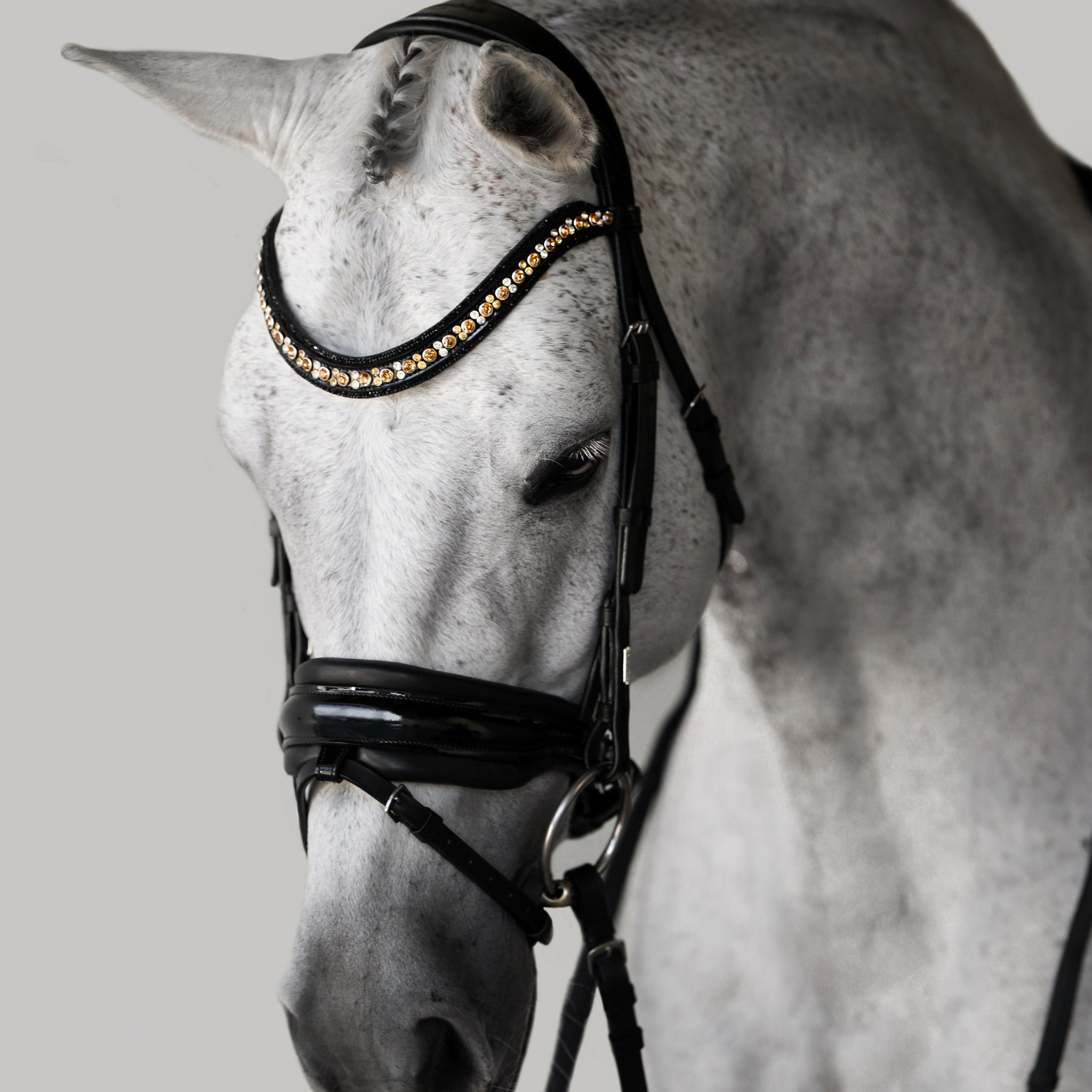 'Ariana' bridle (hanoverian) - Lumiere Equestrian