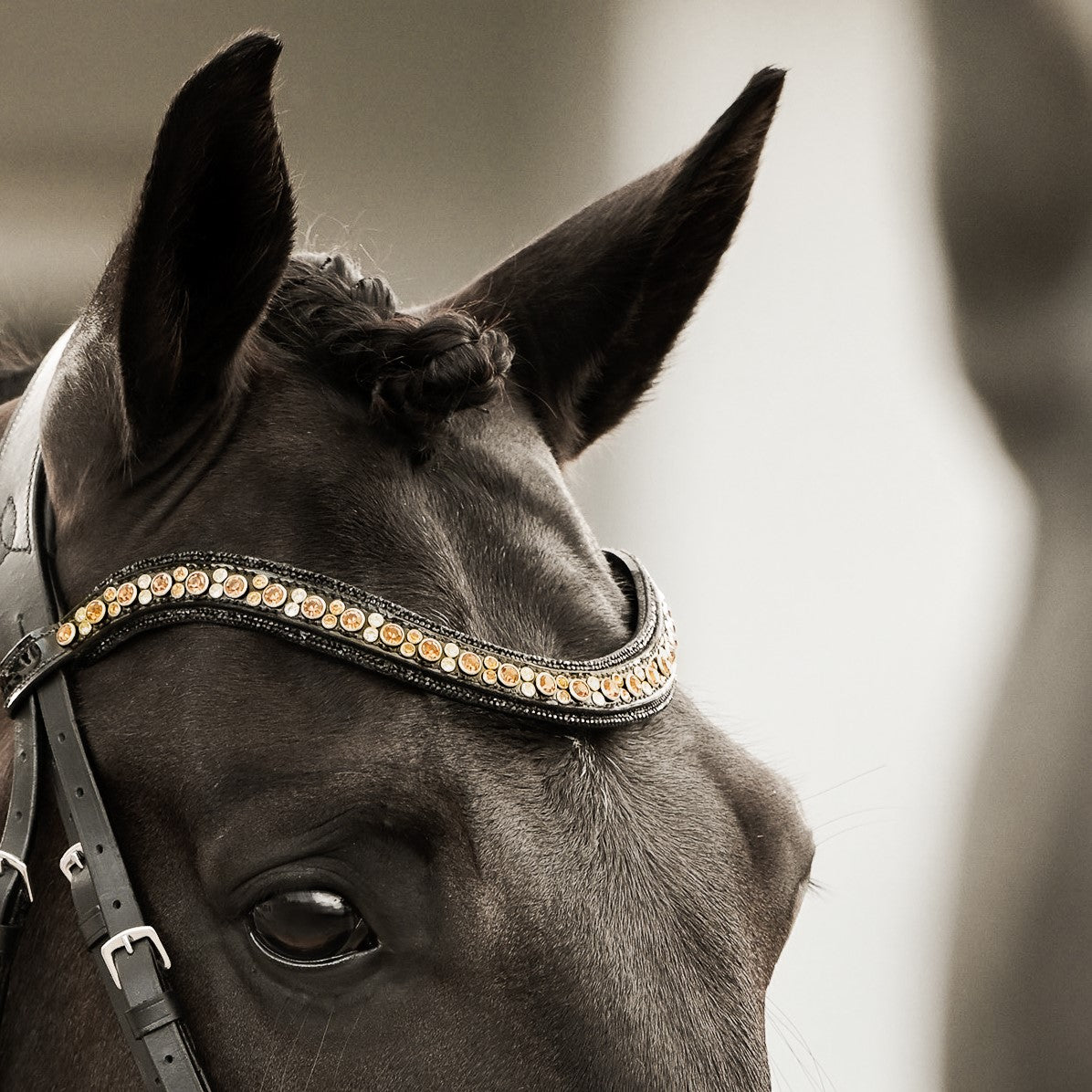 Ariana browband - Lumiere Equestrian