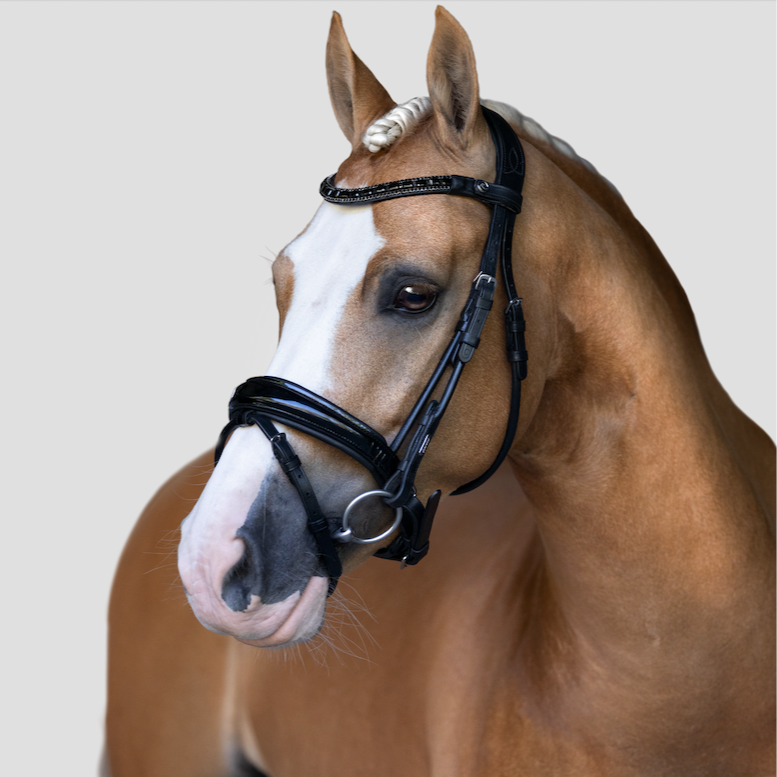 'Audrey' Rolled Leather Bridle (Hanoverian) - Lumiere Equestrian