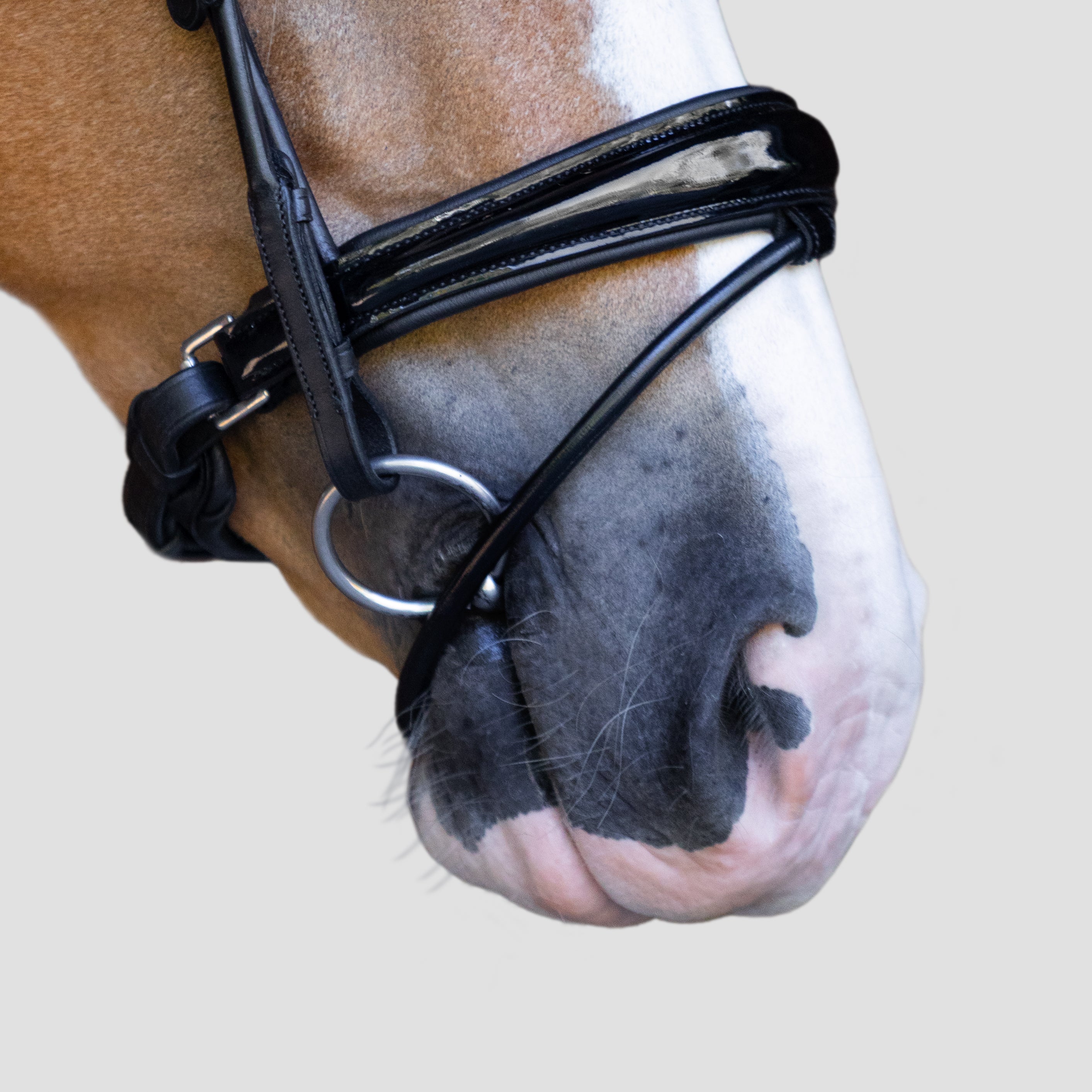 'Audrey' Rolled Leather Bridle (Hanoverian) - Lumiere Equestrian