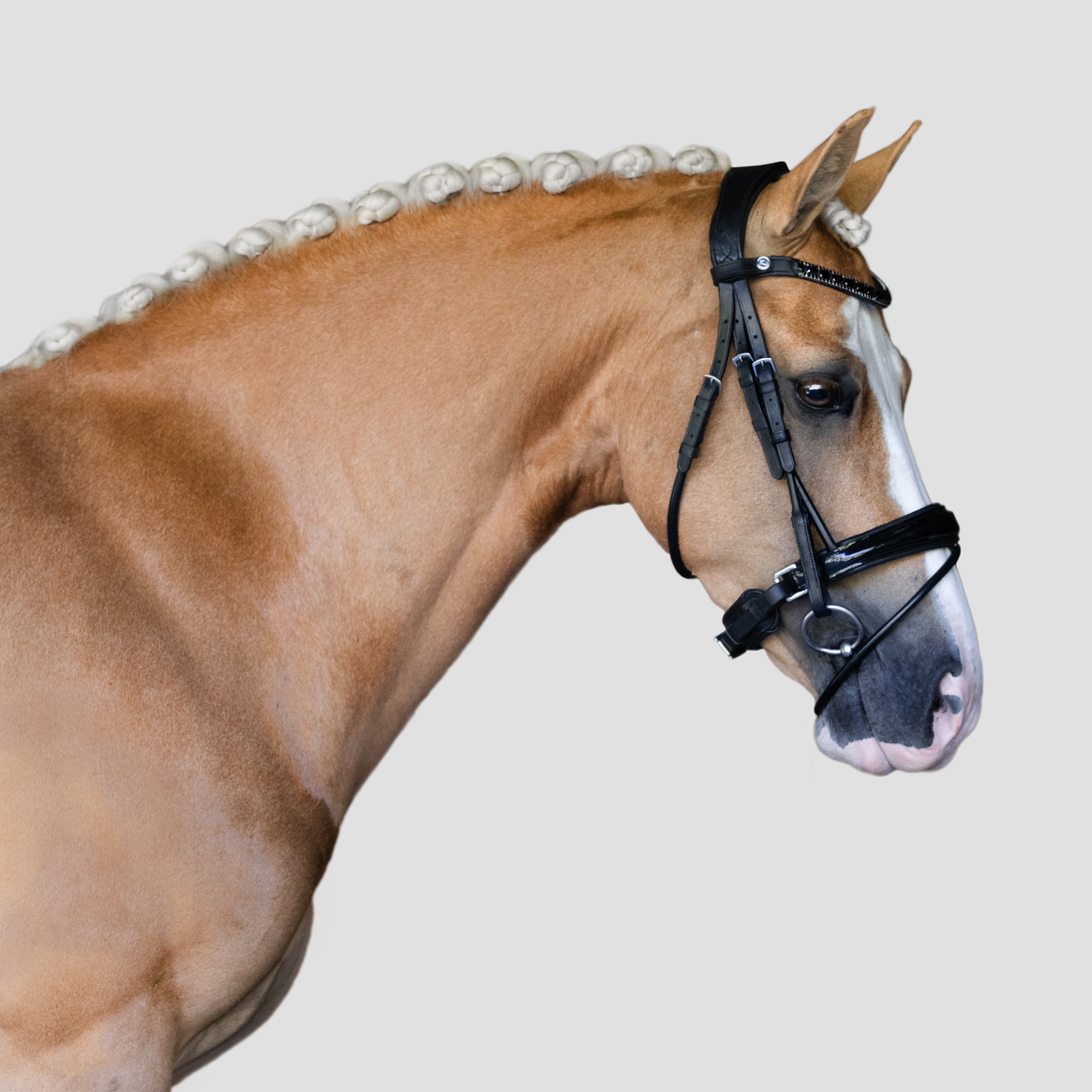 'Audrey' Rolled Leather Bridle (Hanoverian) - Lumiere Equestrian