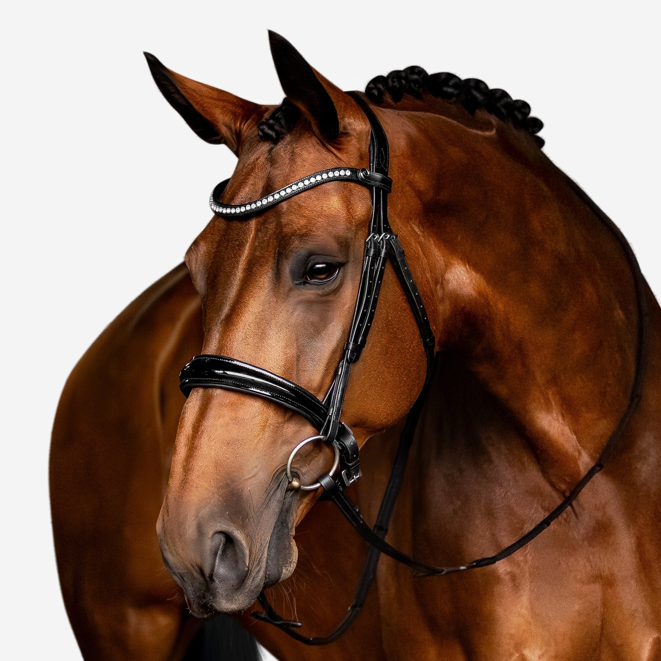 'Aurelie' Flat Leather Bridle (Cavesson) - Lumiere Equestrian