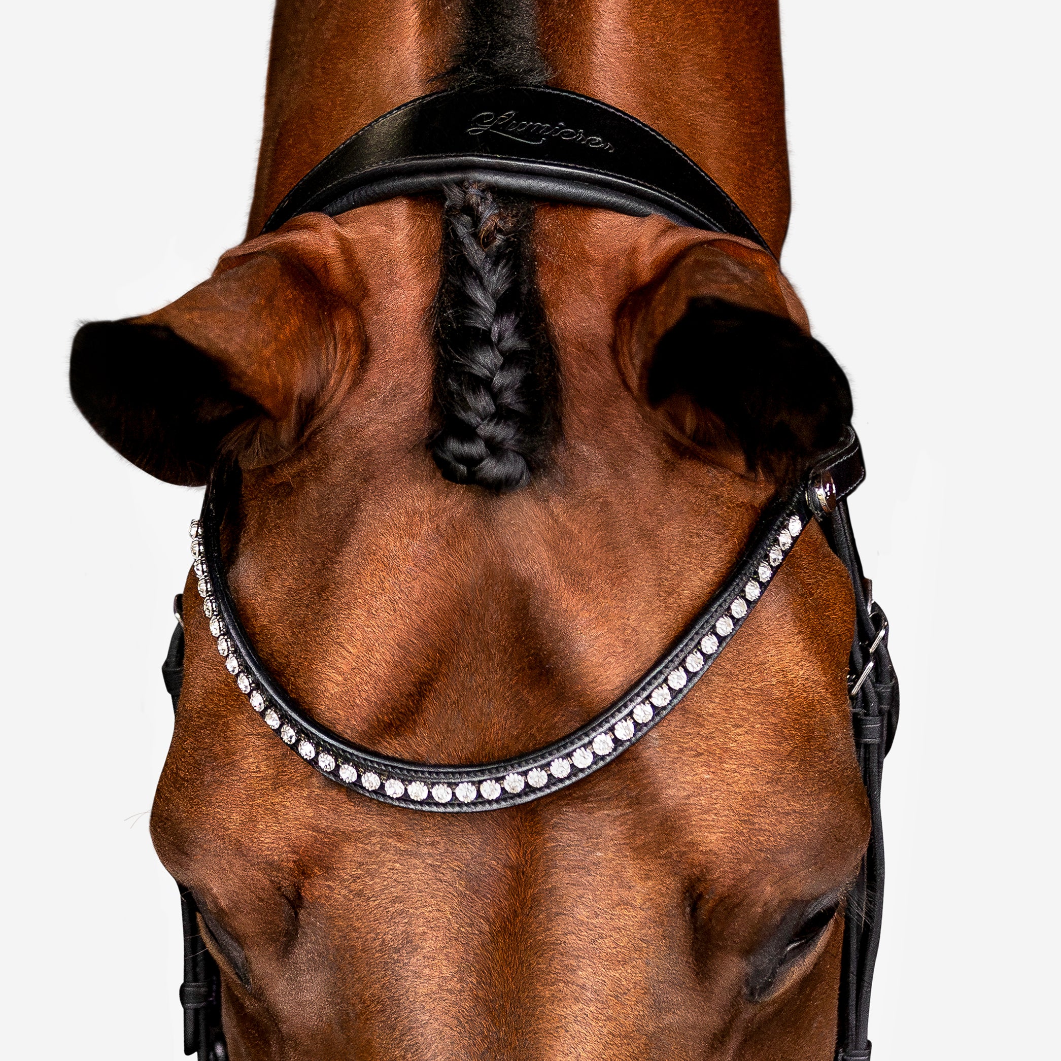 'Aurelie' Flat Leather Bridle (Cavesson) - Lumiere Equestrian