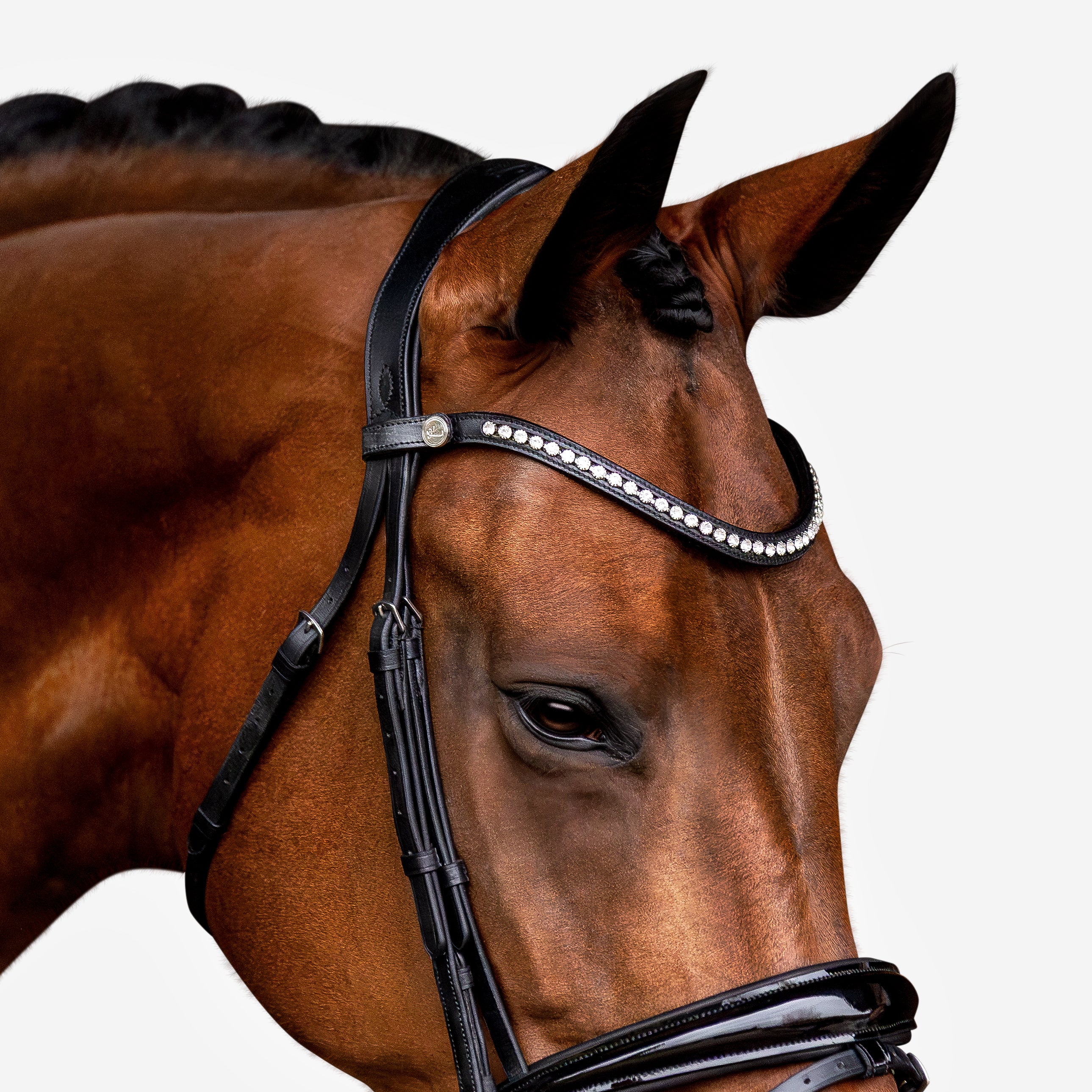 'Aurelie' Flat Leather Bridle (Hanoverian) - Lumiere Equestrian