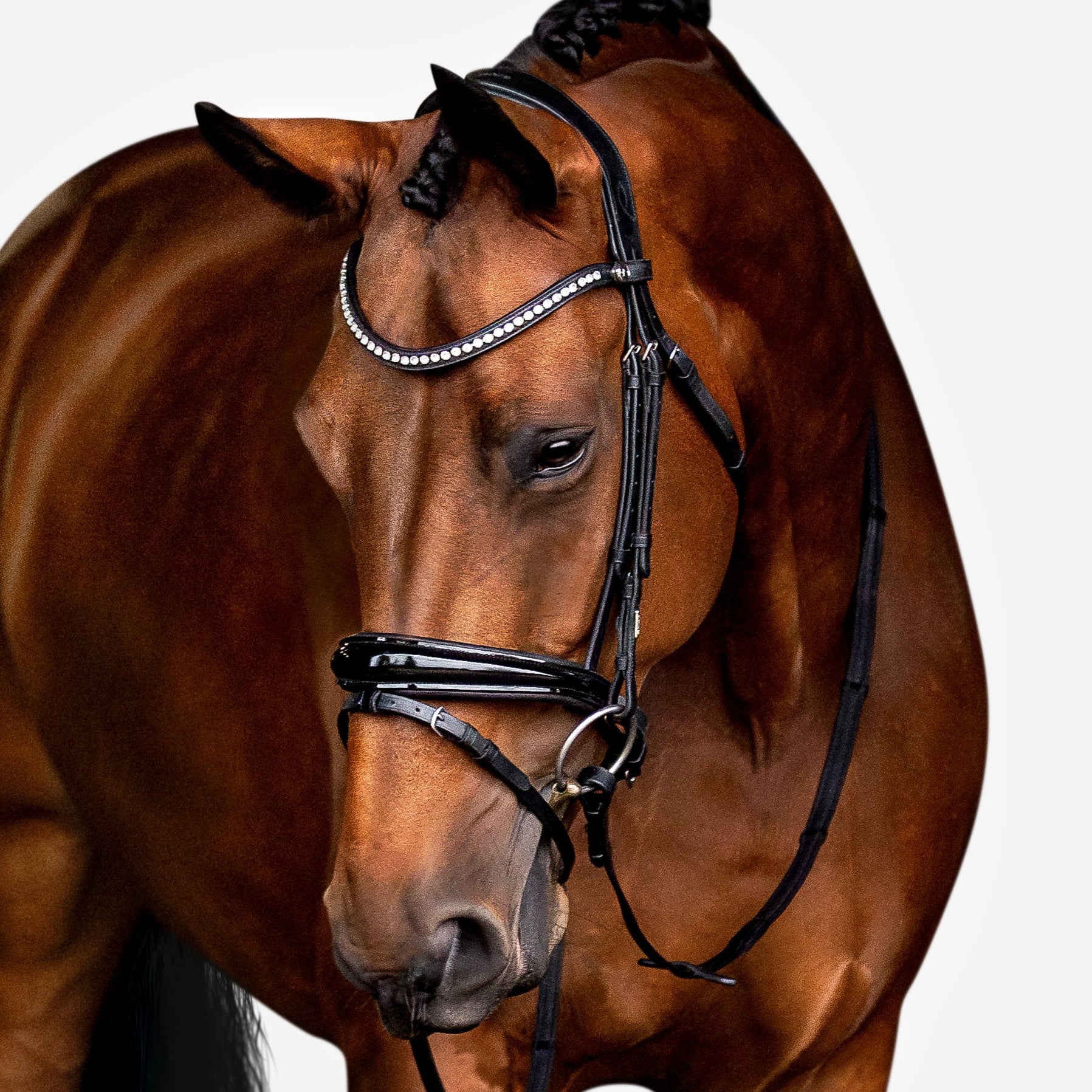 'Aurelie' Flat Leather Bridle (Hanoverian) - Lumiere Equestrian