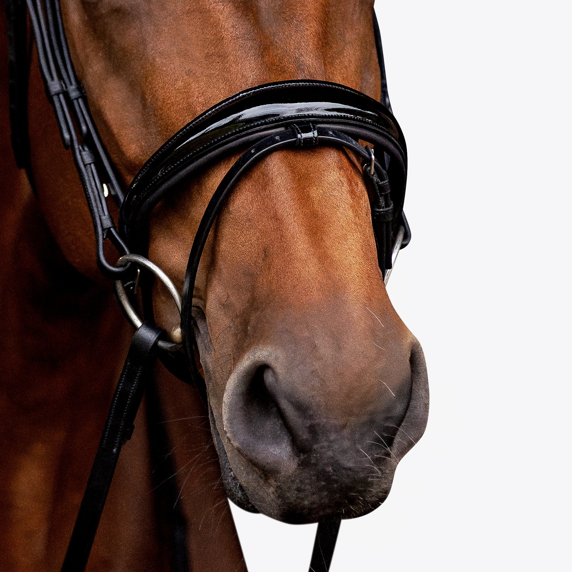 'Aurelie' Flat Leather Bridle (Hanoverian) - Lumiere Equestrian