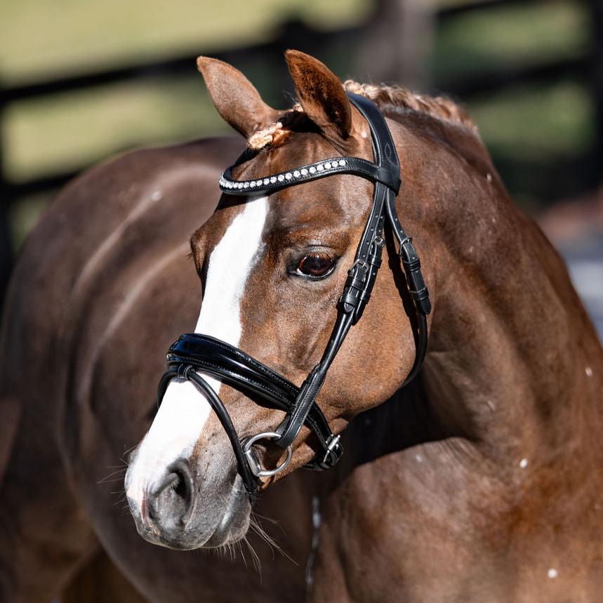 'Aurelie' Rolled Leather Bridle (Hanoverian) (Lumi Pony) - Lumiere Equestrian