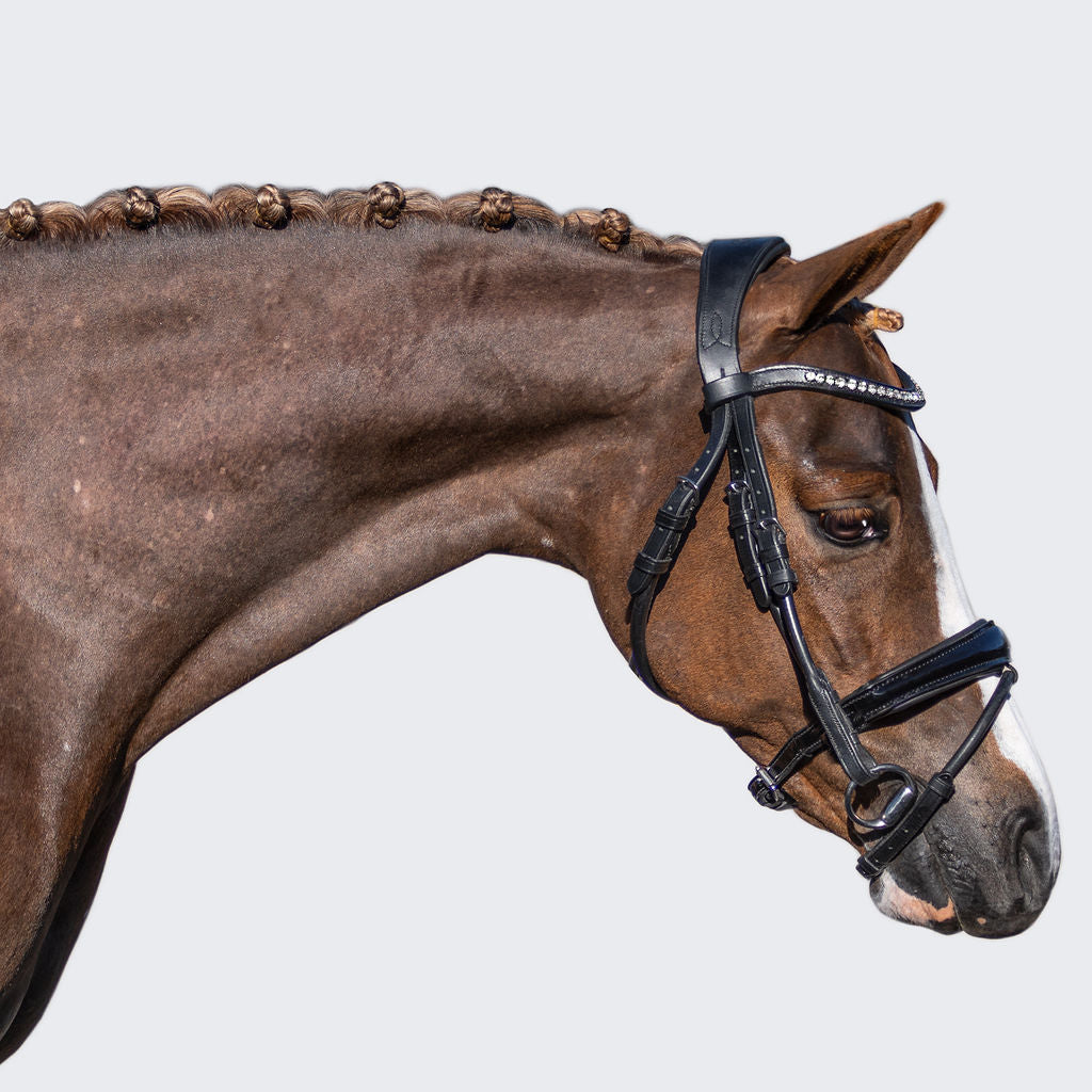 'Aurelie' Rolled Leather Bridle (Hanoverian) (Lumi Pony) - Lumiere Equestrian