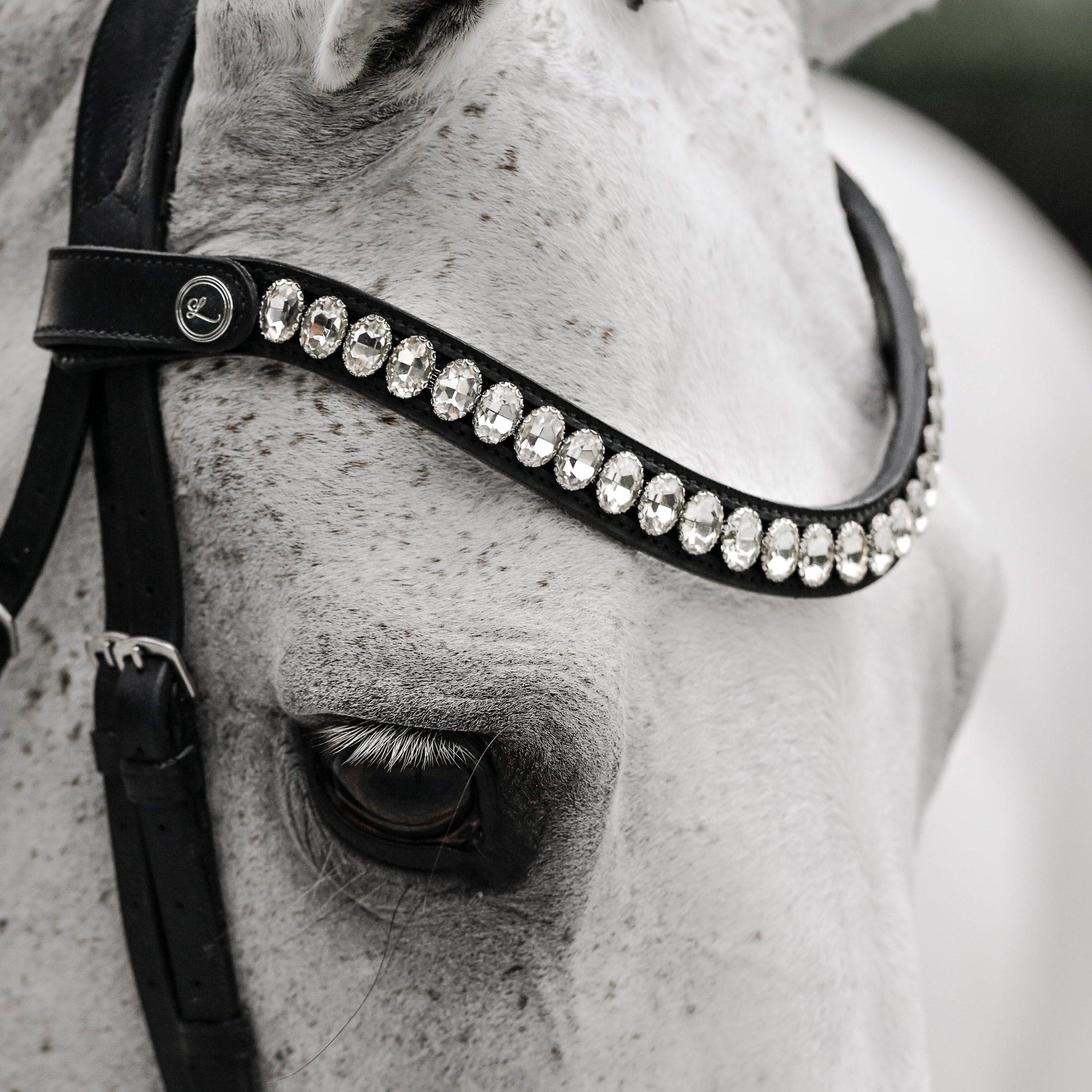 Diva crystal browband (Lumi Pony) - Lumiere Equestrian