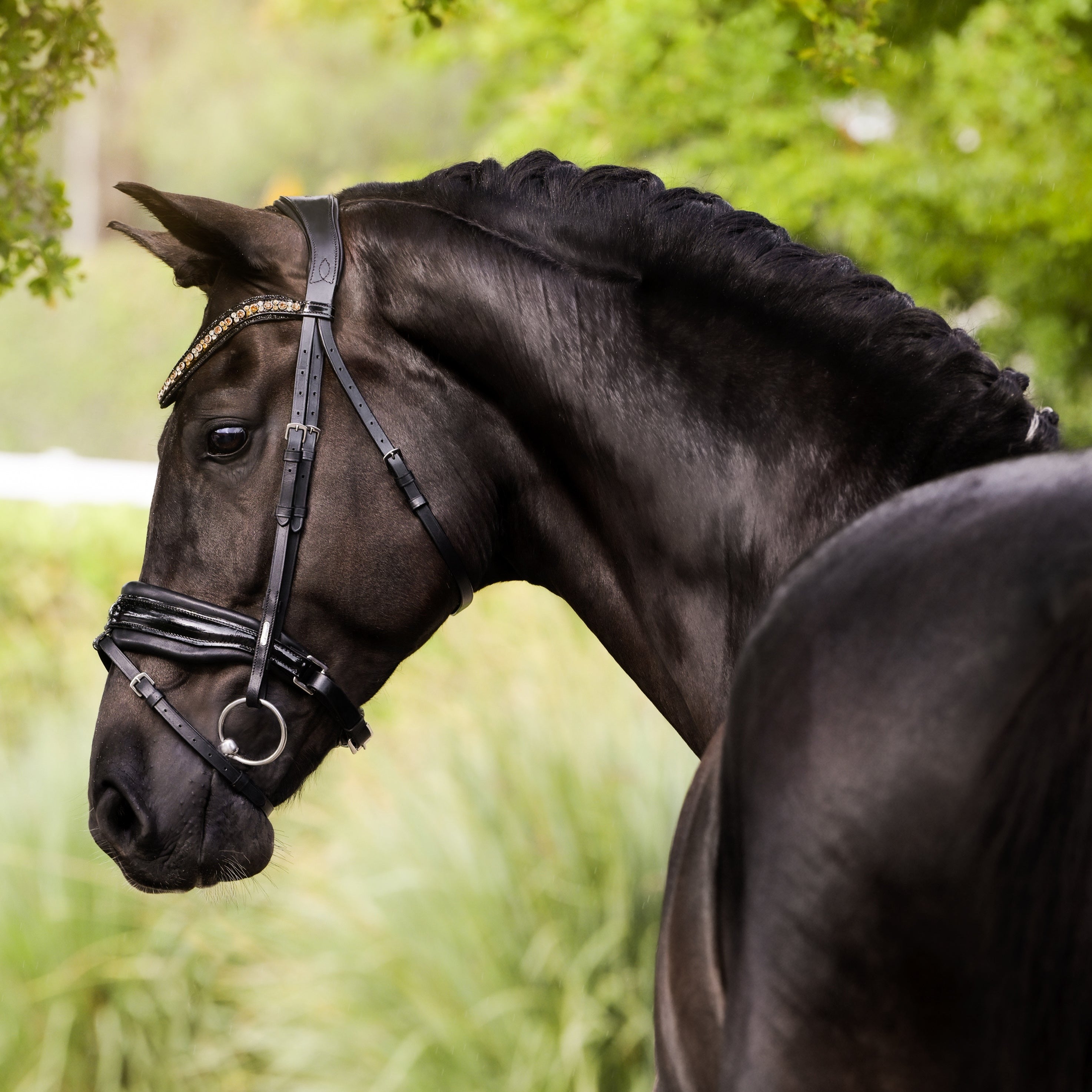 'Ariana' bridle (hanoverian) - Lumiere Equestrian