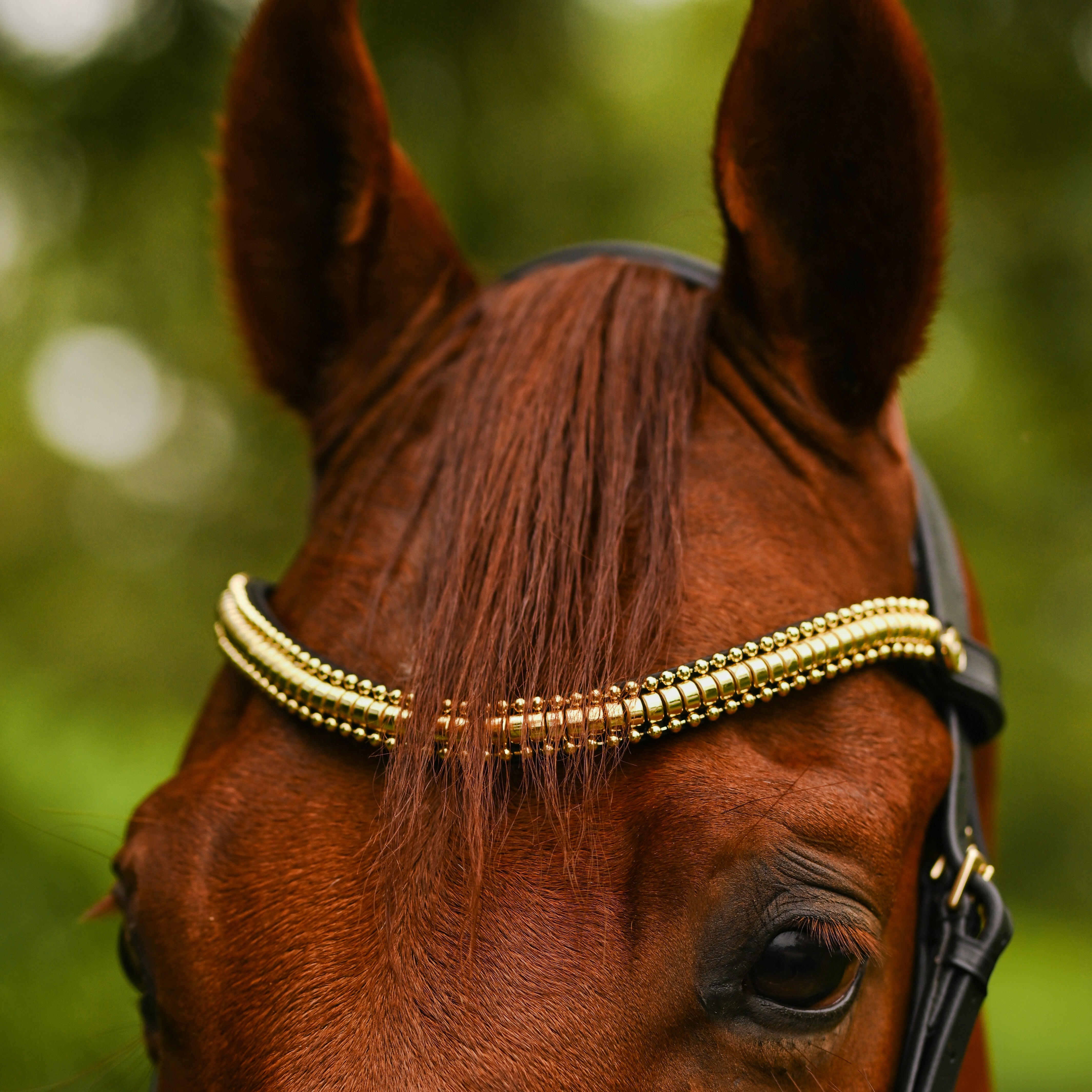 Delta crystal browband (Lumi Pony) - Lumiere Equestrian