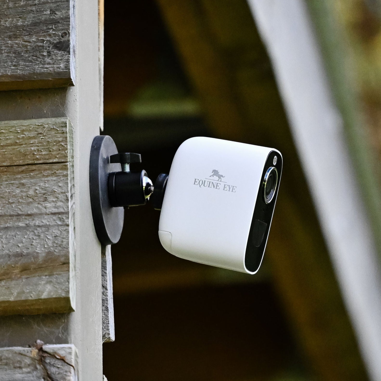 Equine Eye Vision - Lumiere Equestrian