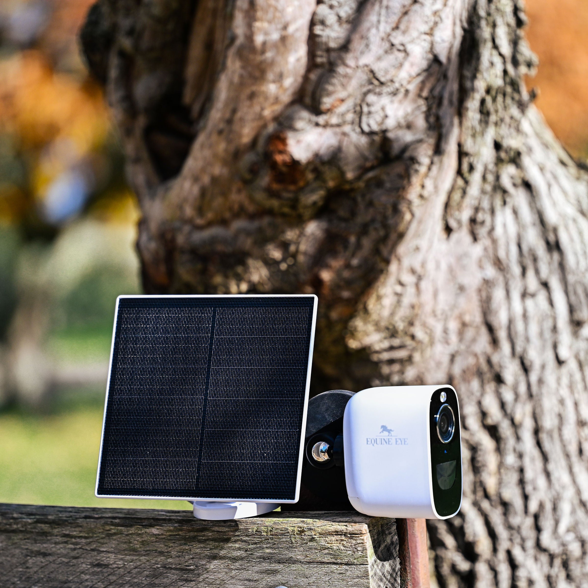 Equine Eye Vision - Lumiere Equestrian