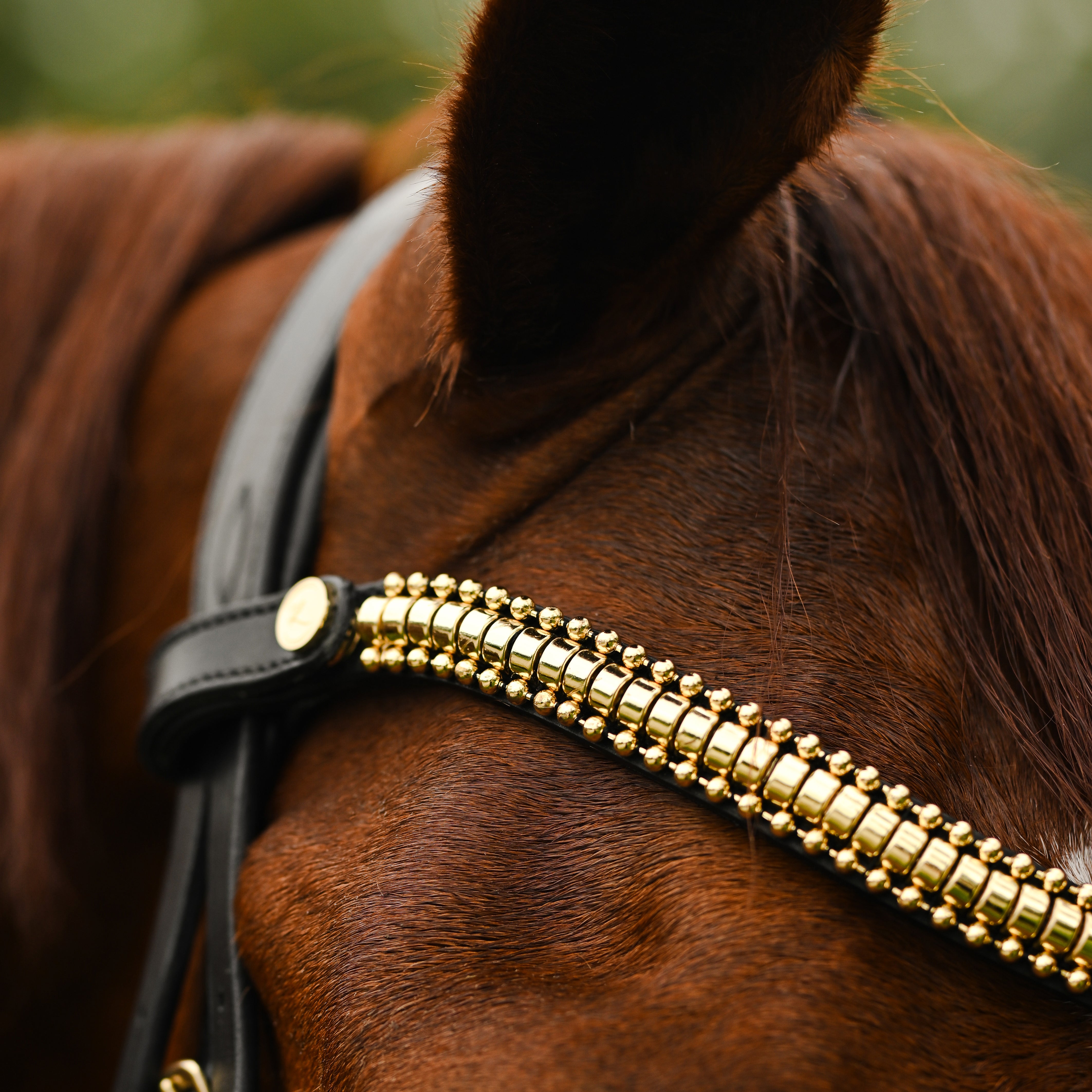 Delta crystal browband (Lumi Pony) - Lumiere Equestrian