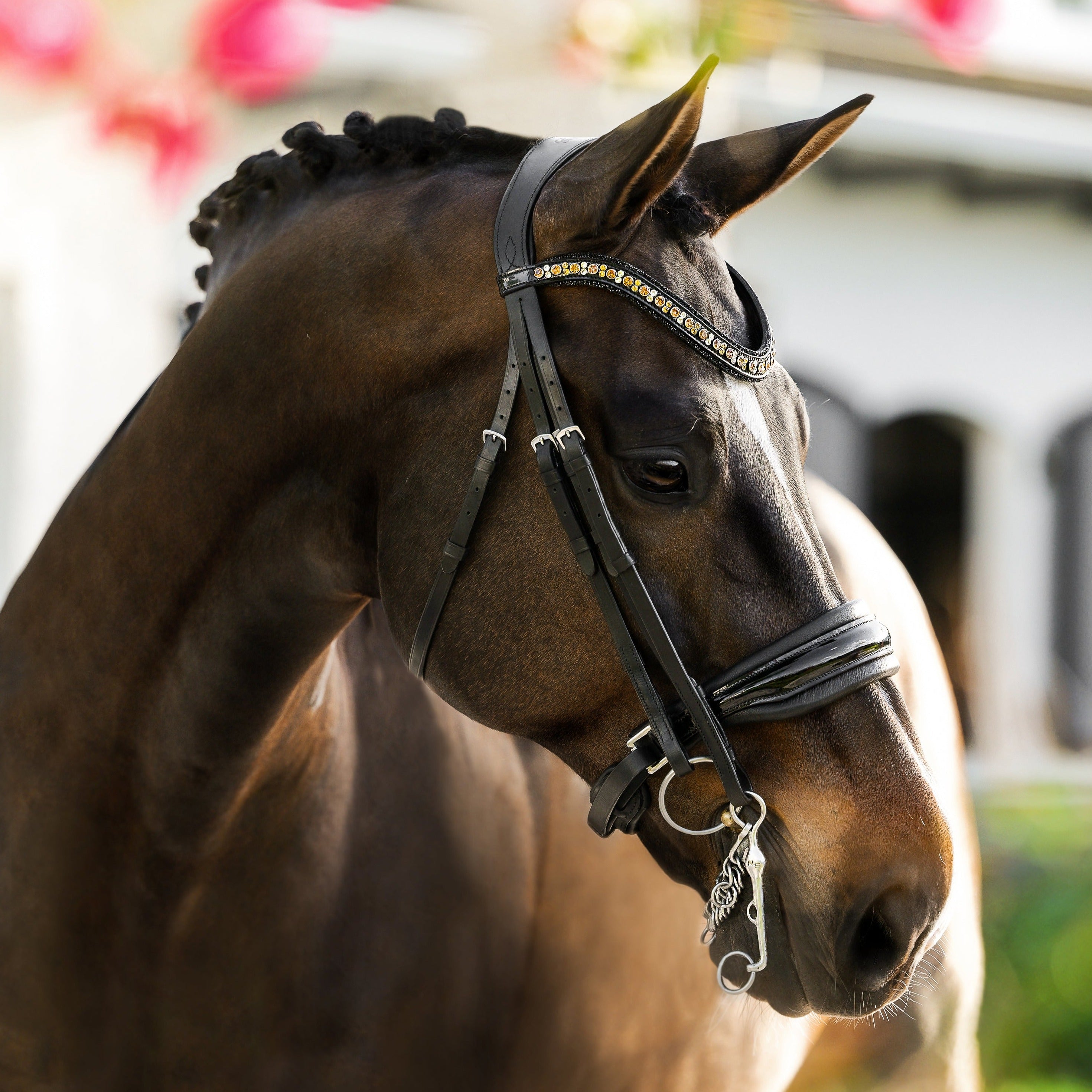 'Ariana' bridle (double) - Lumiere Equestrian