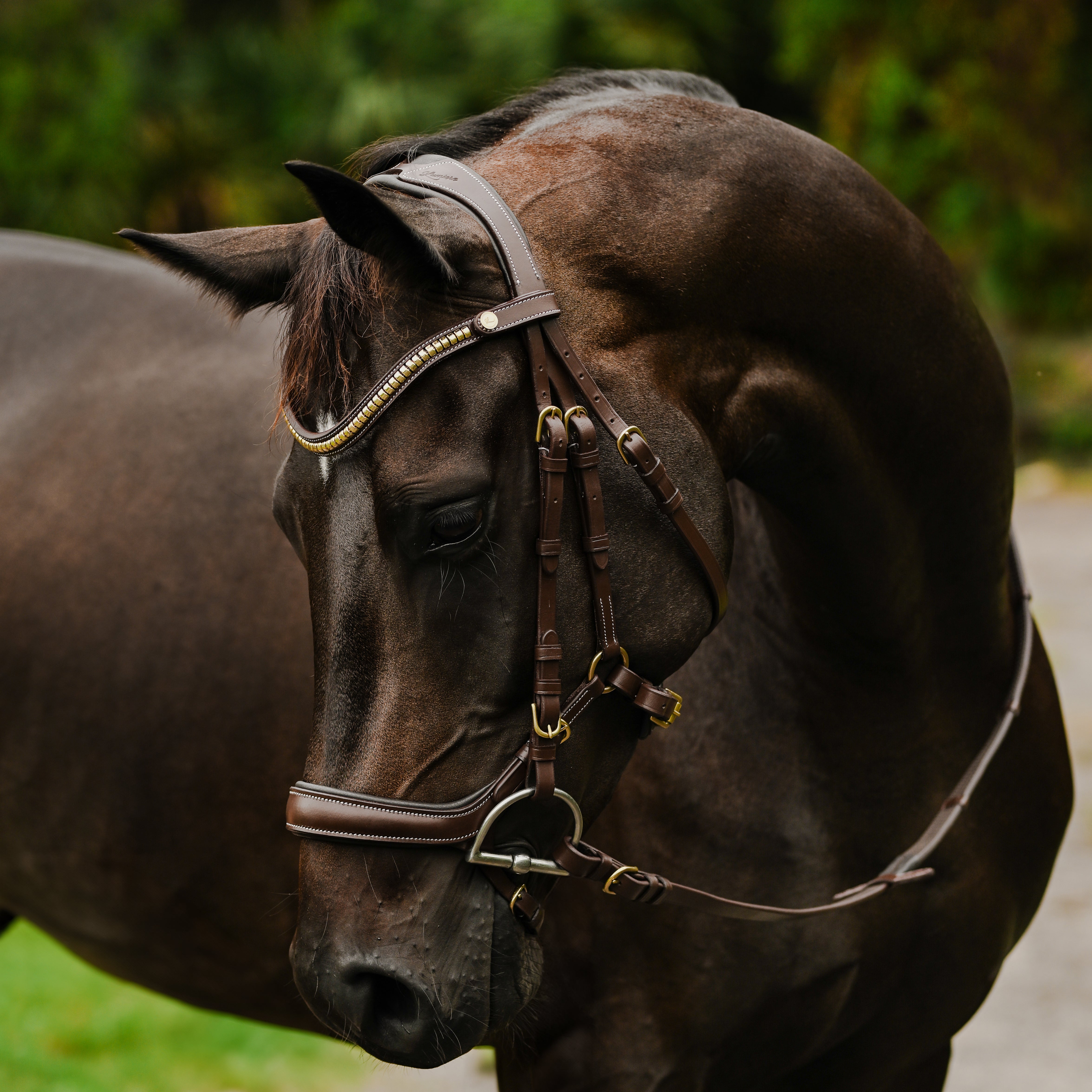 Dallas bridle - Lumiere Equestrian
