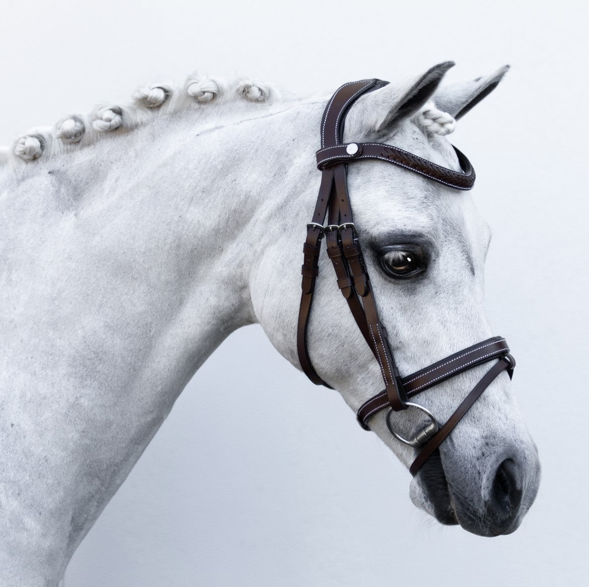 'Delaney' leather bridle (Lumi Pony) Clearance - Lumiere Equestrian