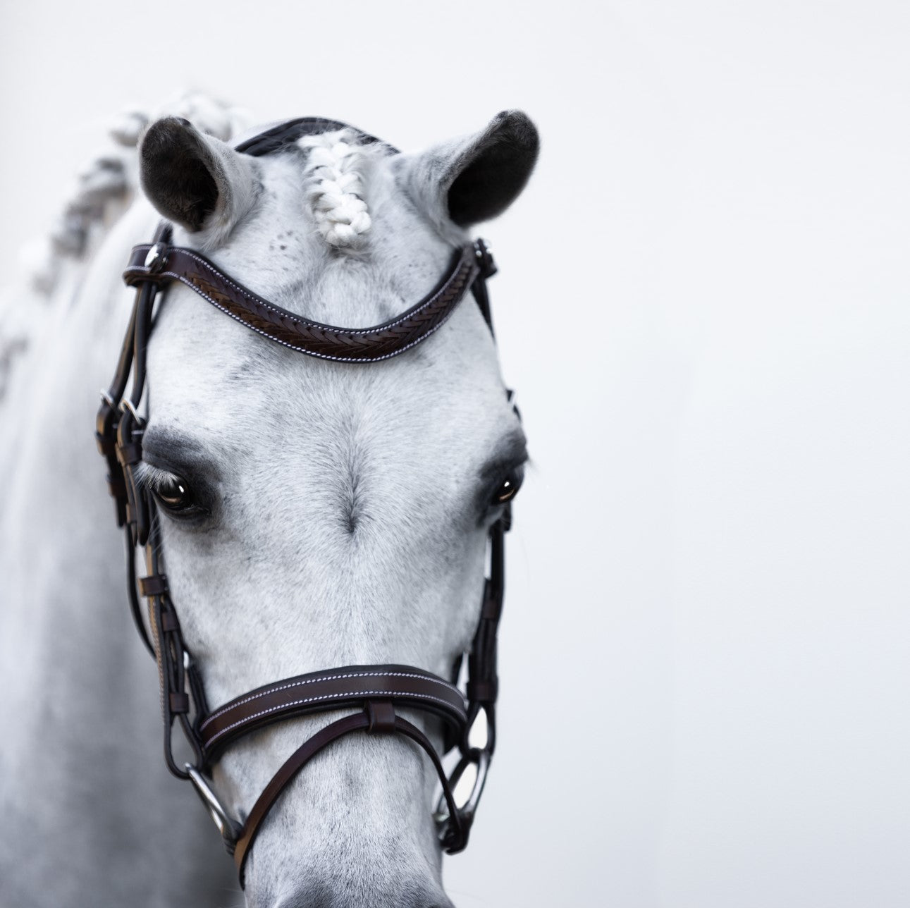 'Delaney' leather bridle (Lumi Pony) Clearance - Lumiere Equestrian