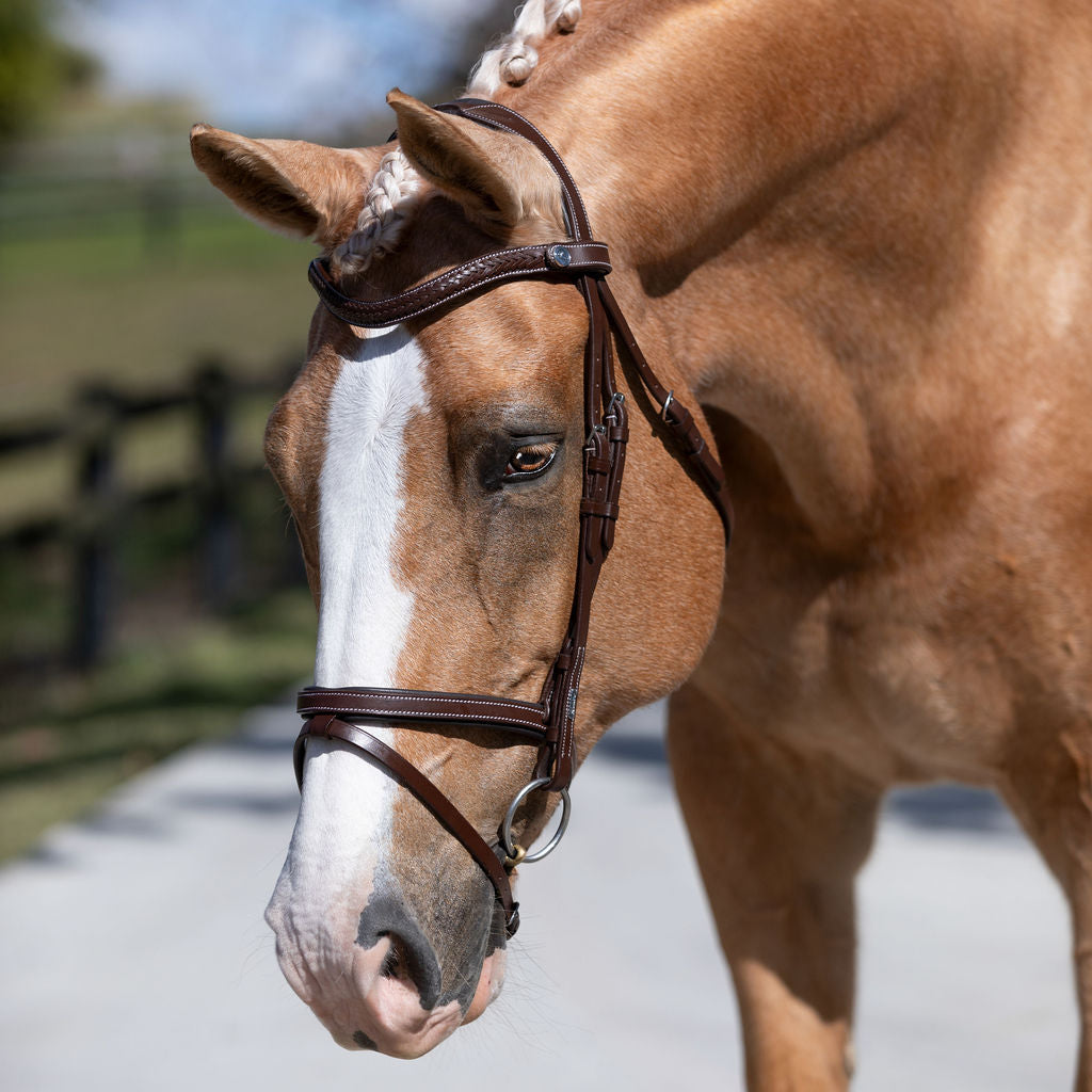Delaney bridle - Lumiere Equestrian