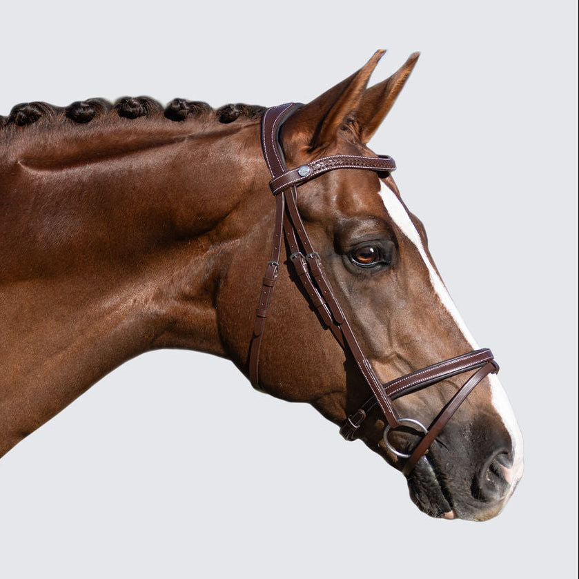 Delaney bridle - Lumiere Equestrian
