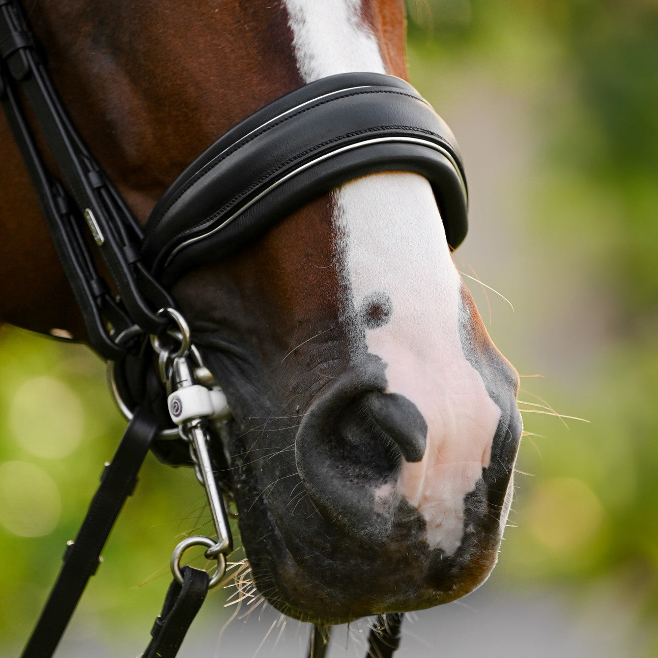 Diva Noseband (cavesson) - Lumiere Equestrian