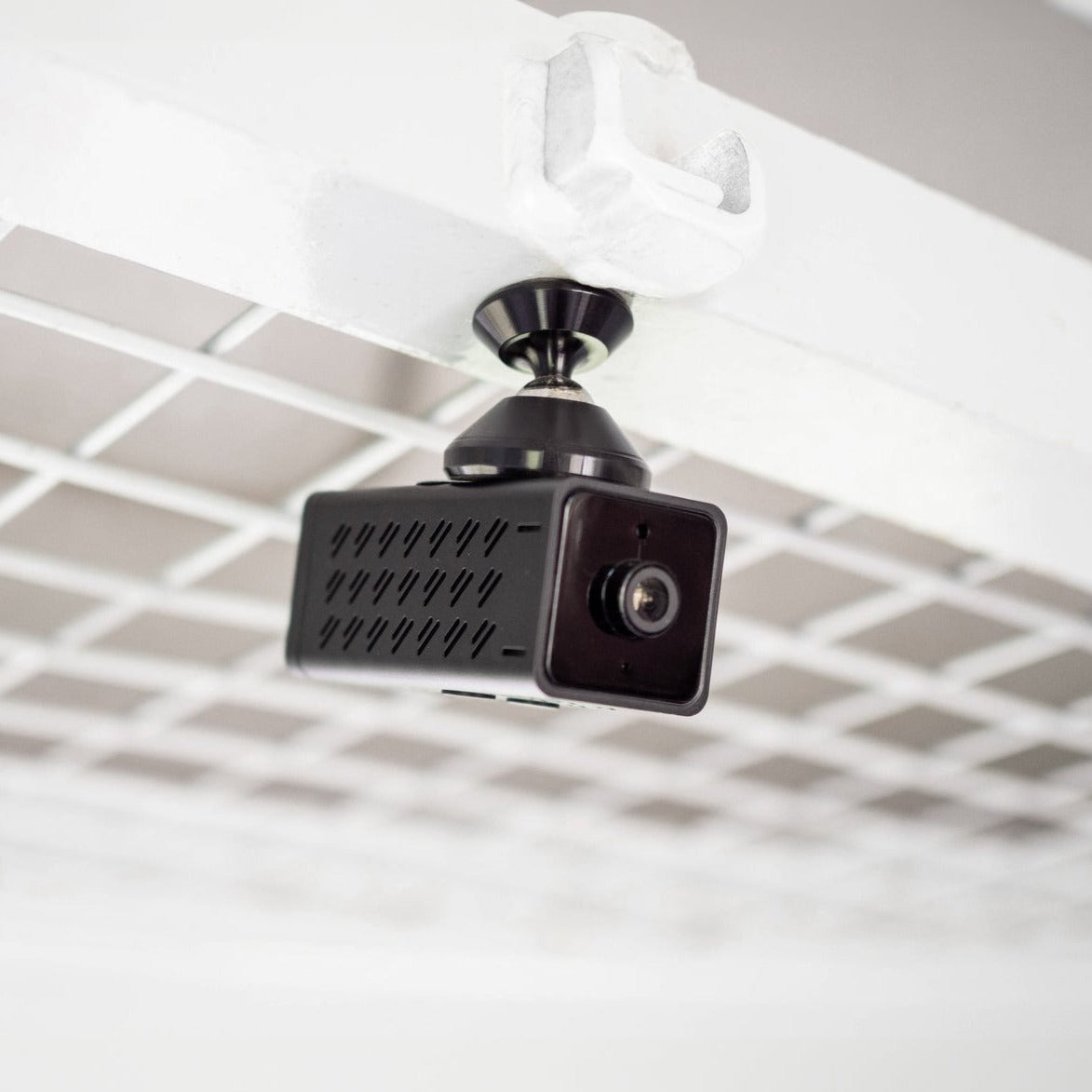 Equine Eye Voyager - Lumiere Equestrian