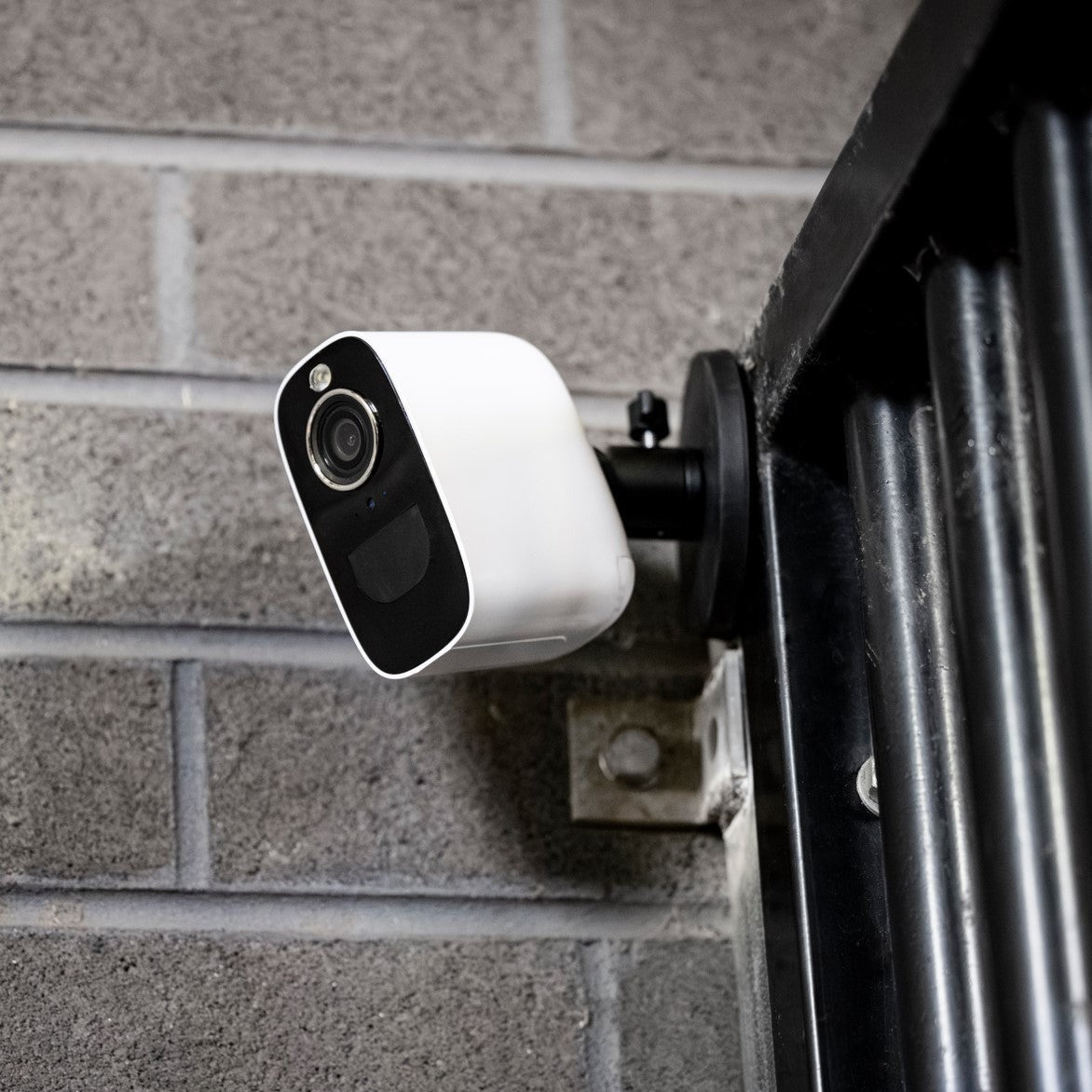 Equine Eye Vision - magnetic mount - Lumiere Equestrian