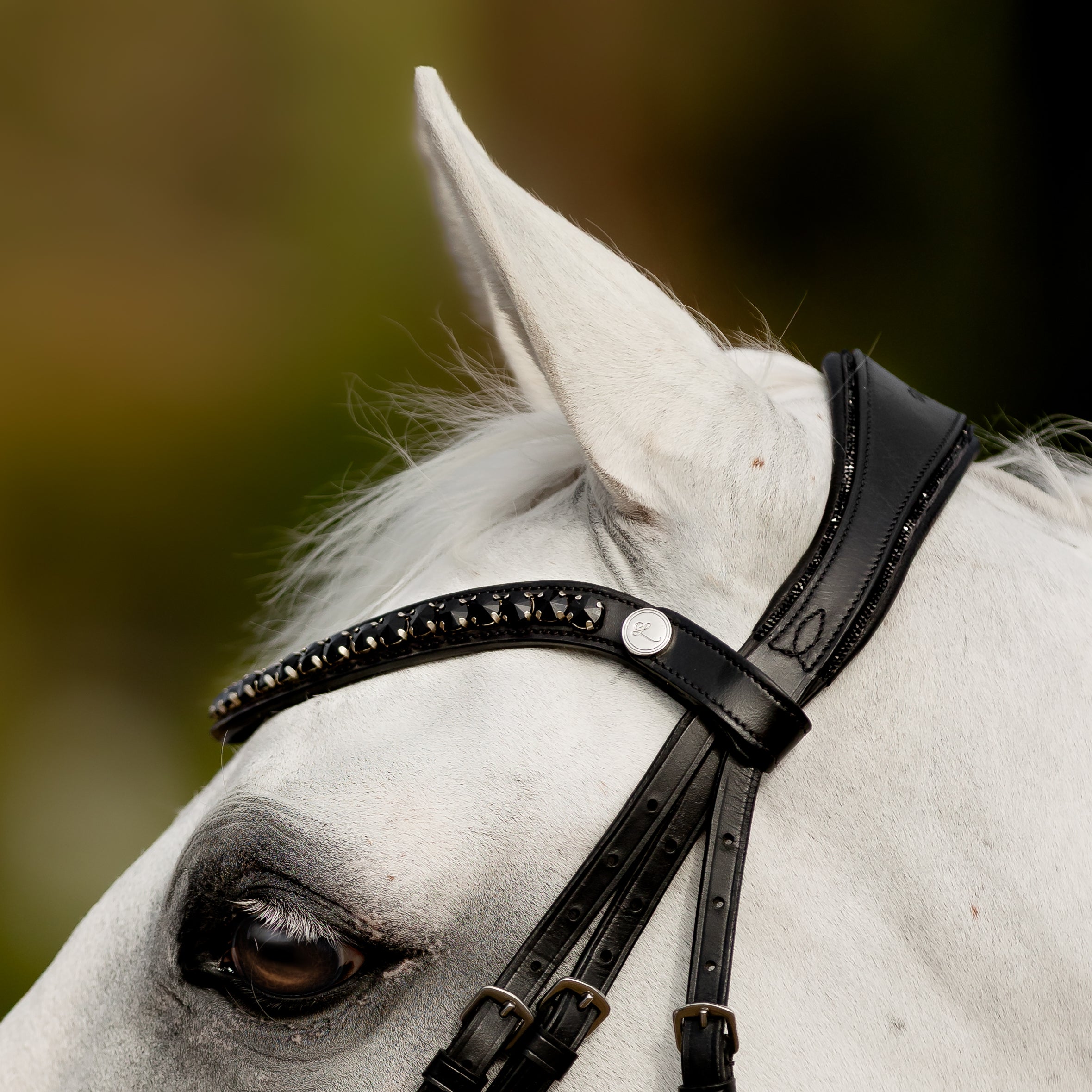 'Arcadia' Luxury Leather Bridle (hanoverian)