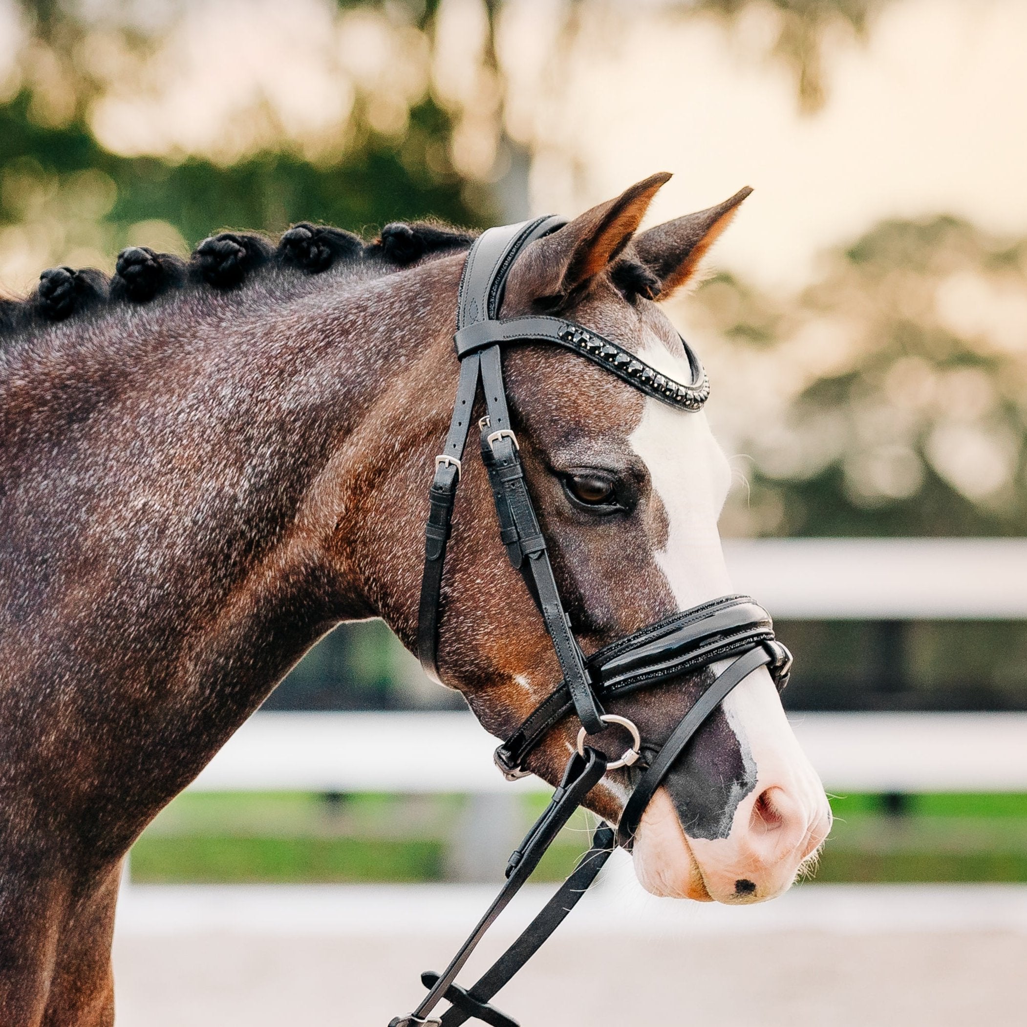 'Arcadia' Luxury Leather Bridle (hanoverian) (Lumi Pony) - Lumiere Equestrian