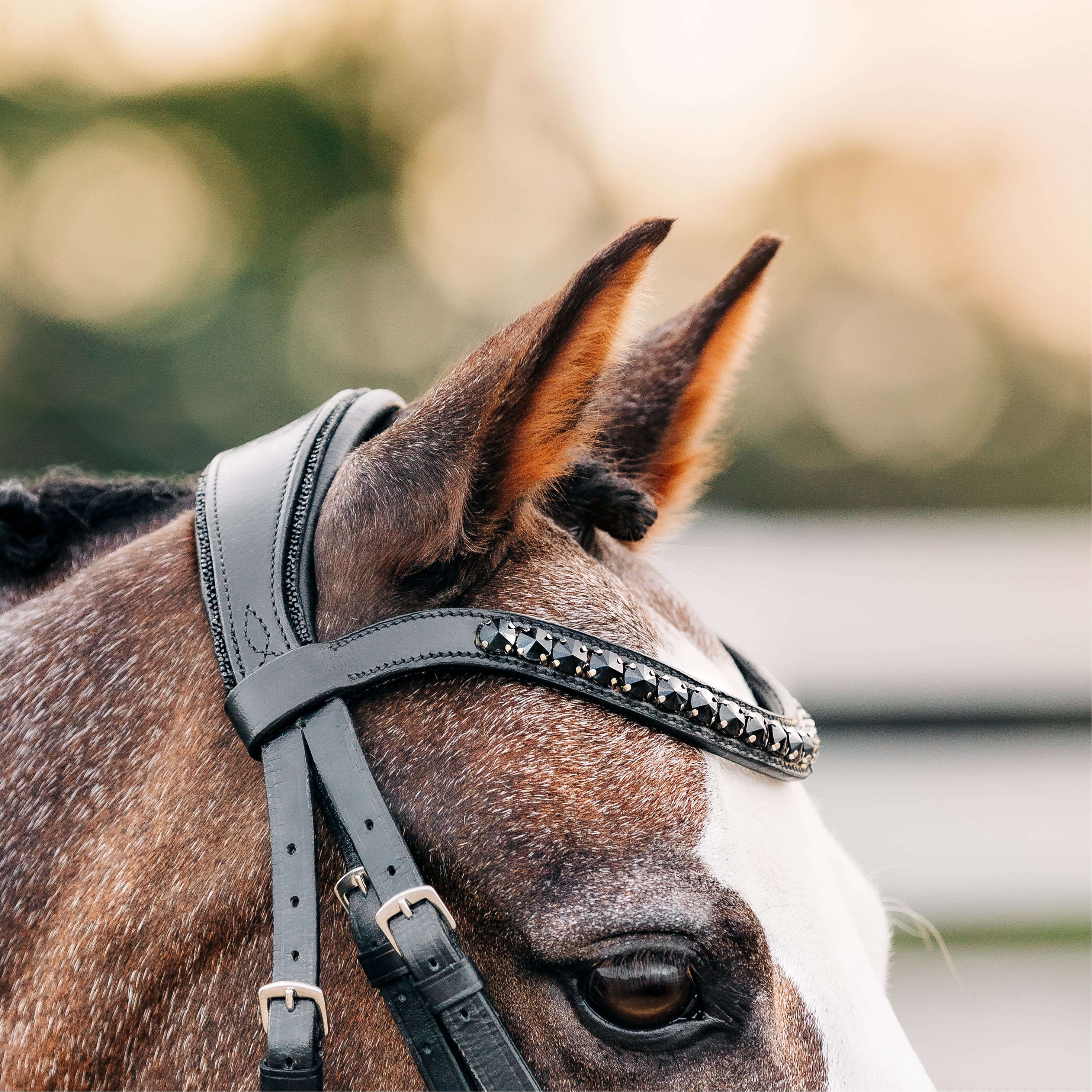 'Arcadia' Luxury Leather Bridle (hanoverian) (Lumi Pony) - Lumiere Equestrian
