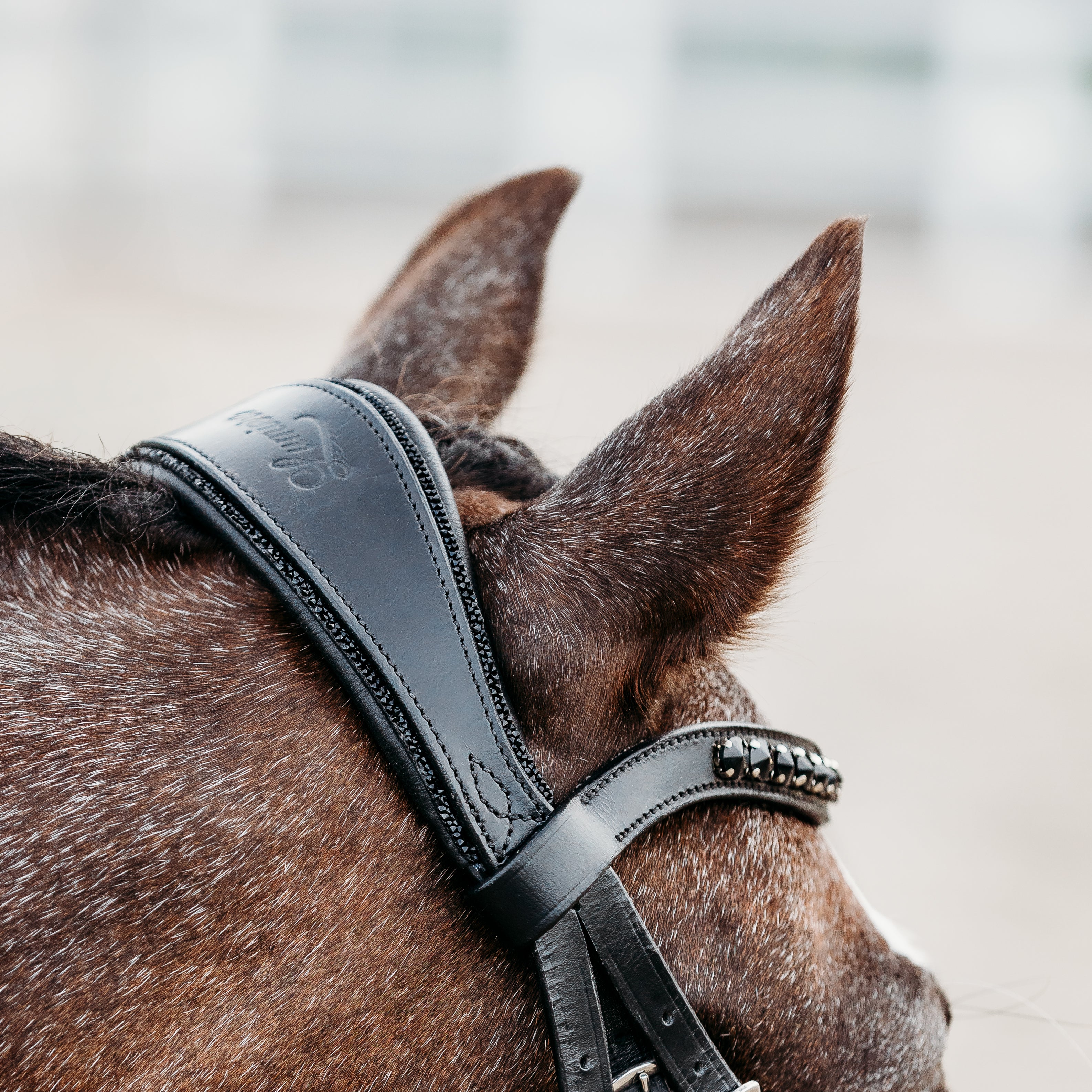 'Arcadia' Luxury Leather Bridle (hanoverian) (Lumi Pony) - Lumiere Equestrian