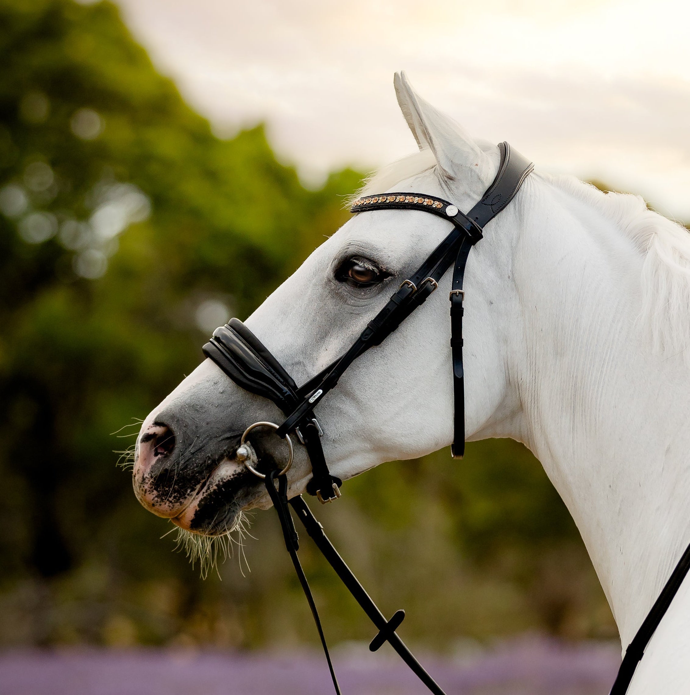 Ariana Cavesson Leather Bridle