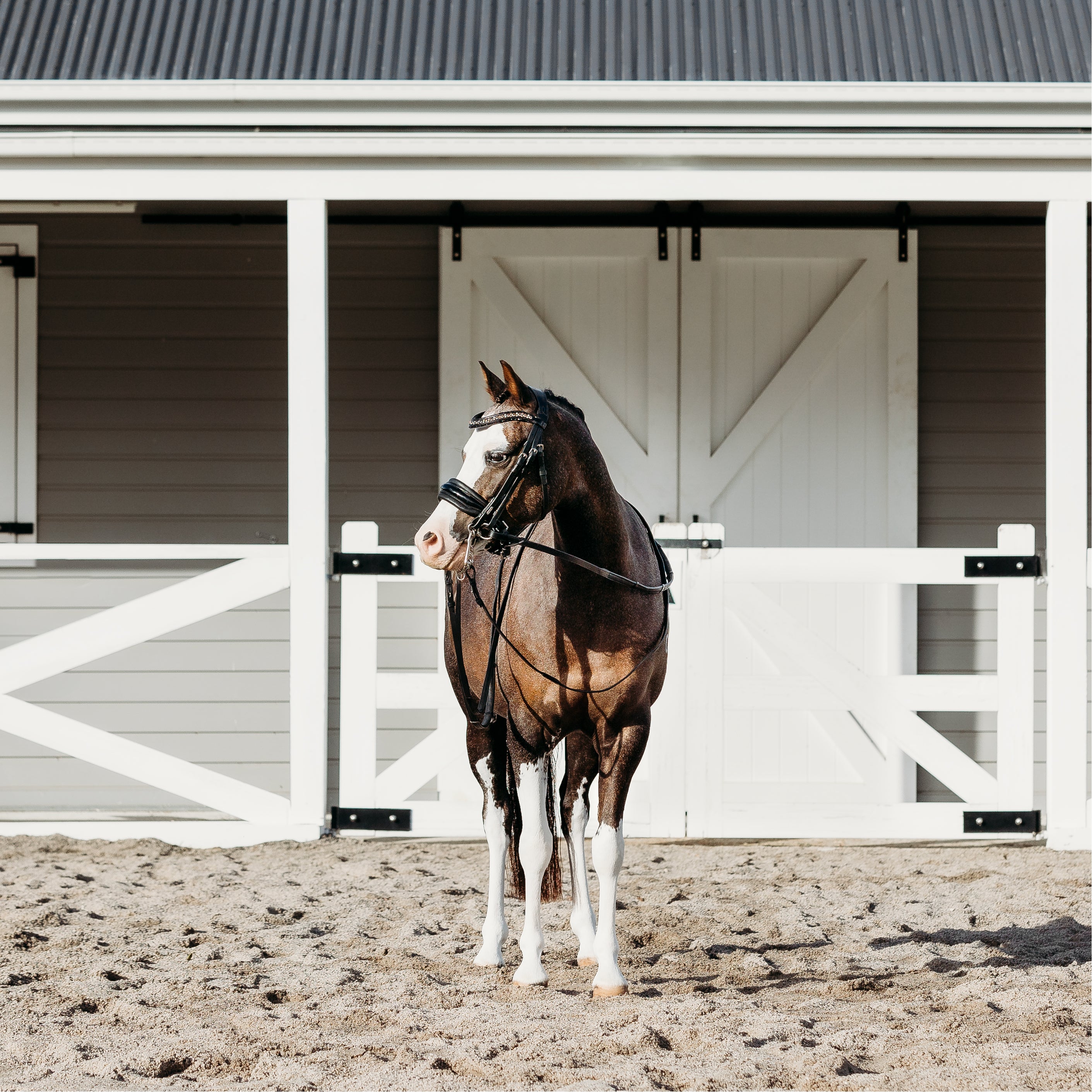 'Ariana' bridle (double) (Lumi Pony) - Lumiere Equestrian