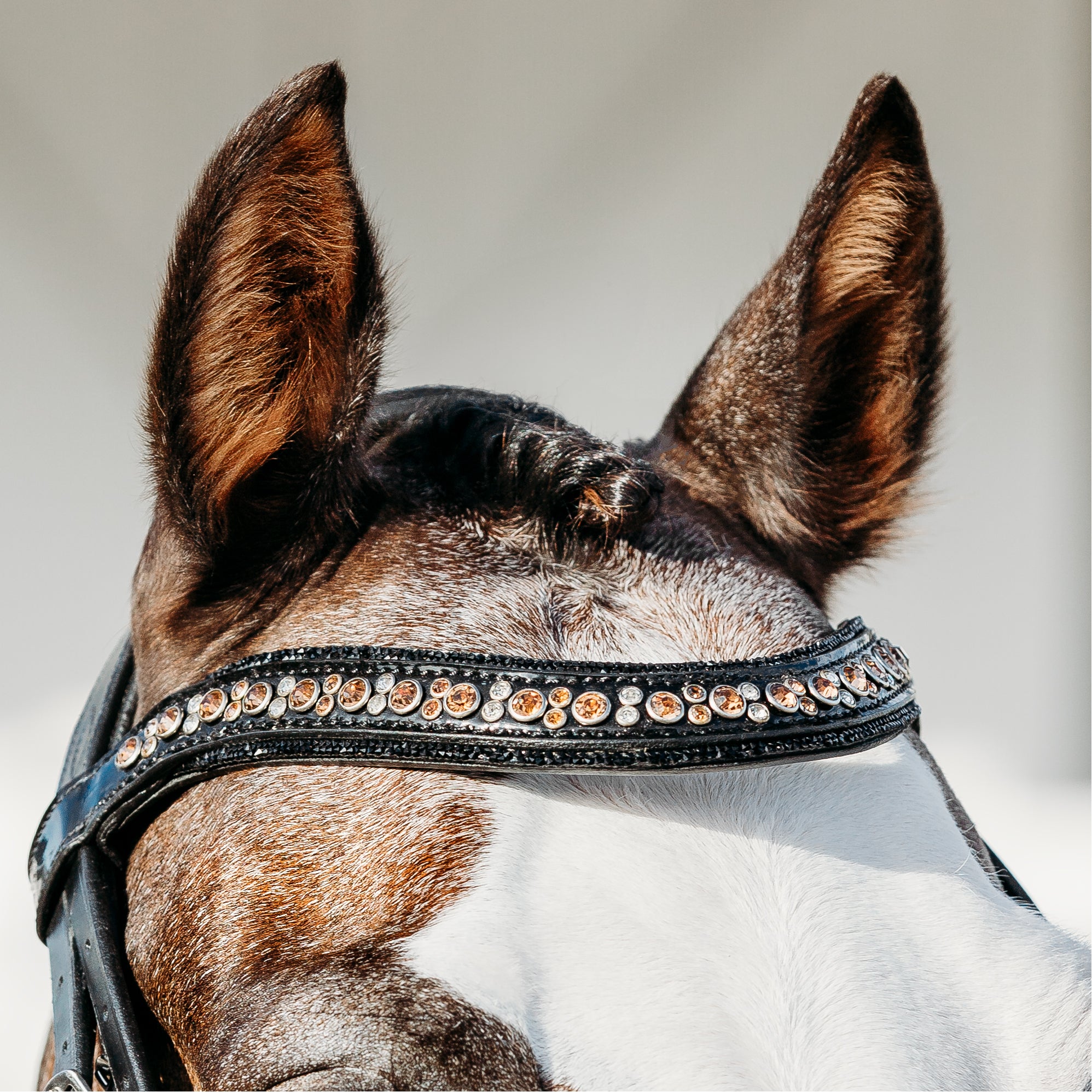 'Ariana' bridle (double) (Lumi Pony) - Lumiere Equestrian