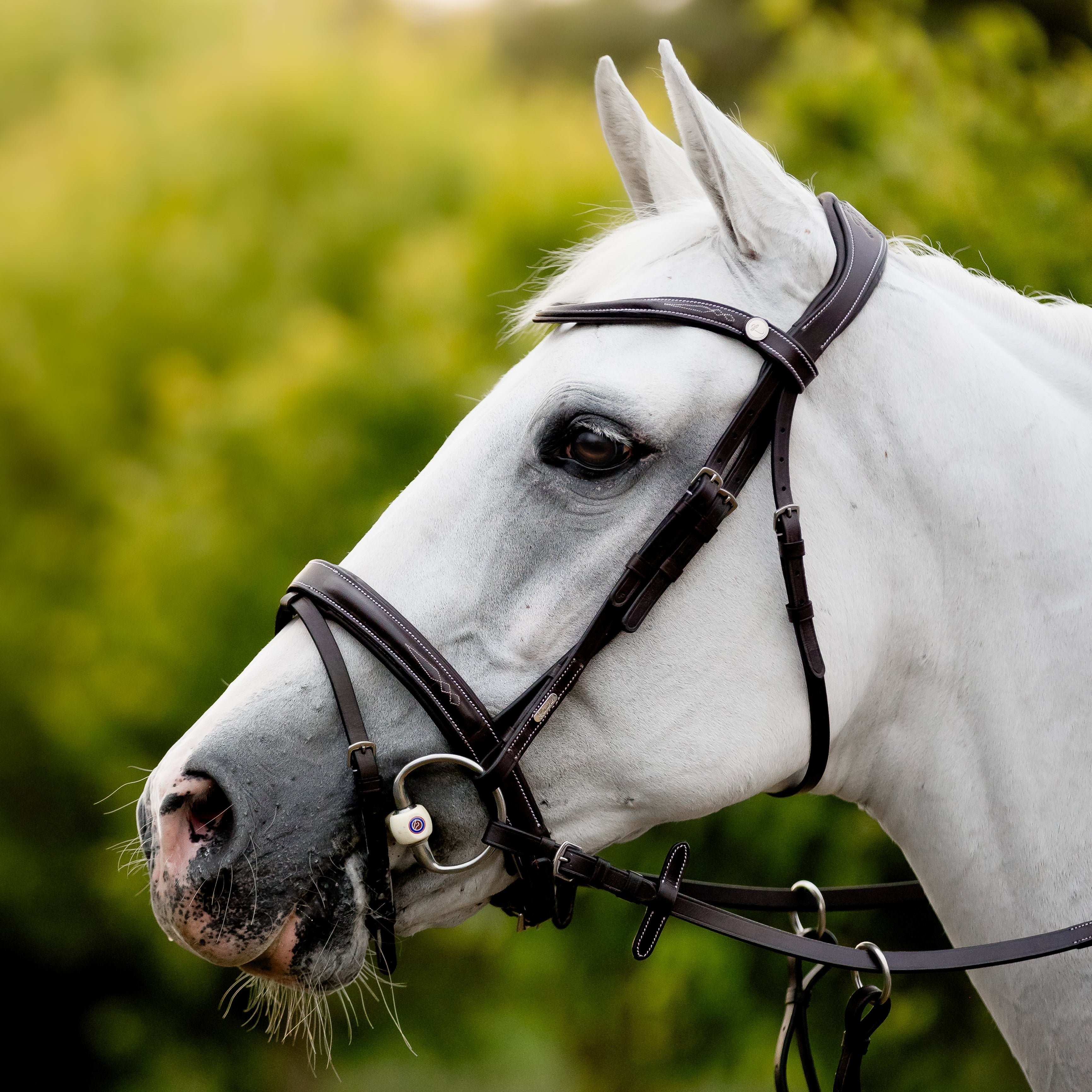 'Milan' leather bridle (convertible)