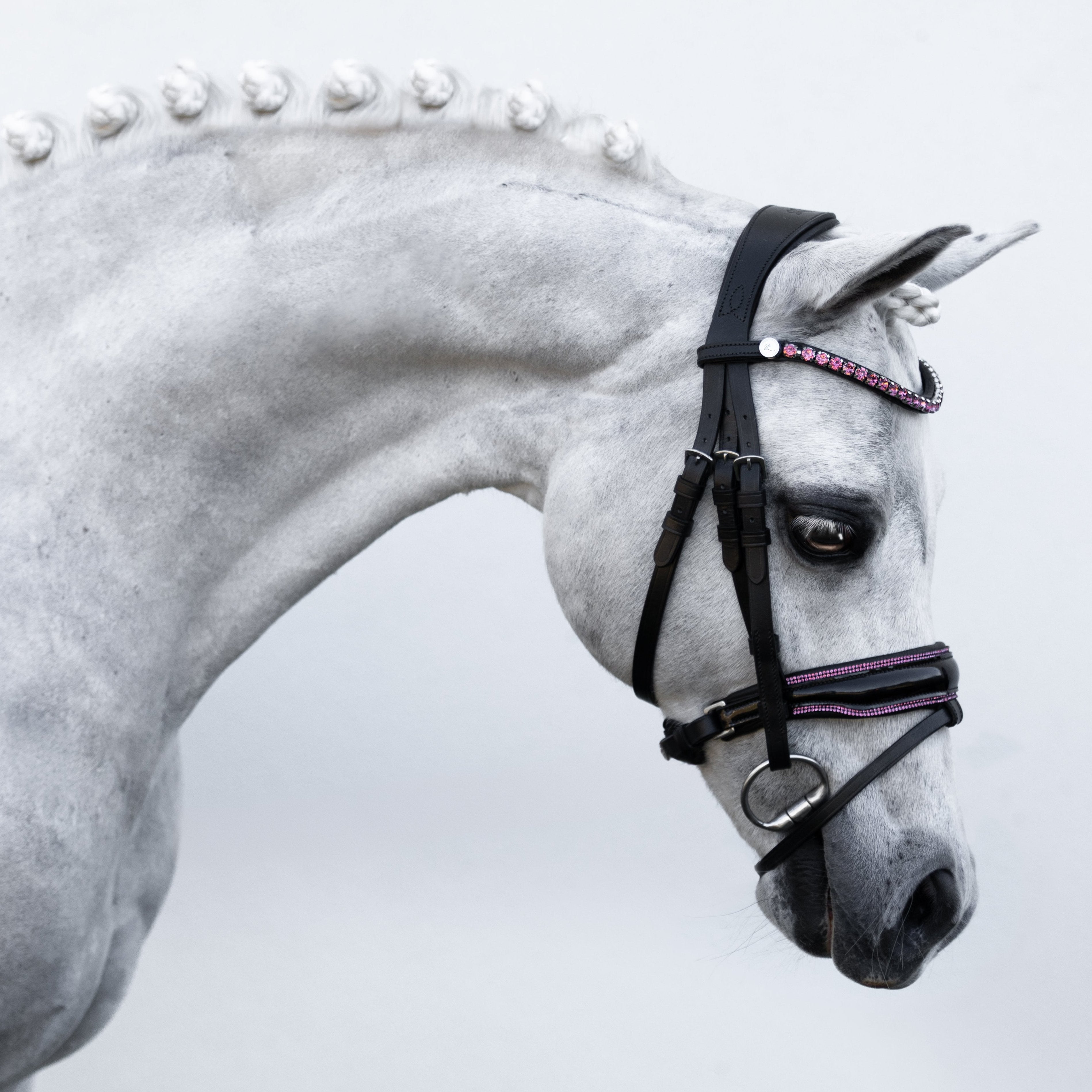 Fairyfloss bridle (Lumi Pony) - Lumiere Equestrian