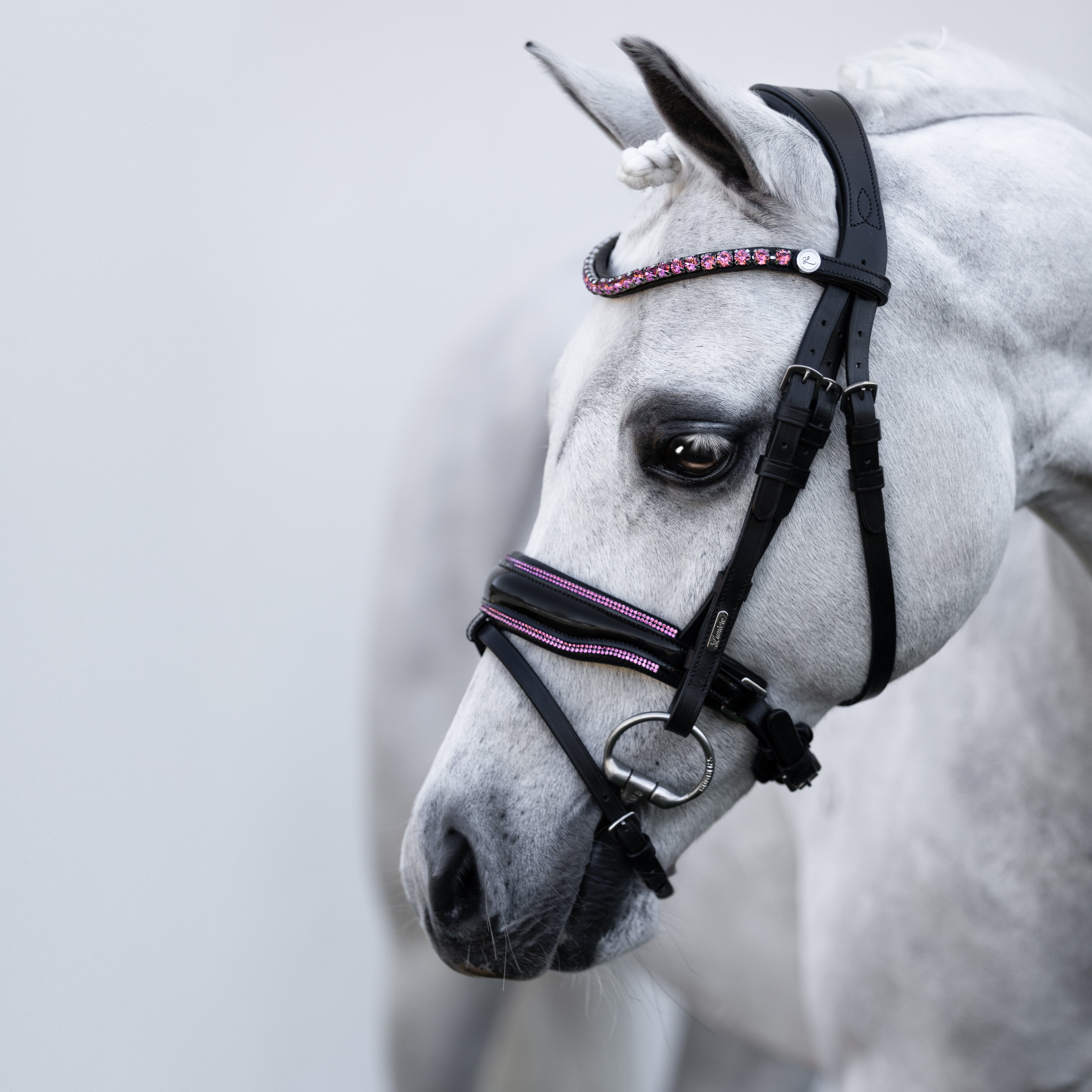 Fairyfloss bridle (Lumi Pony) - Lumiere Equestrian