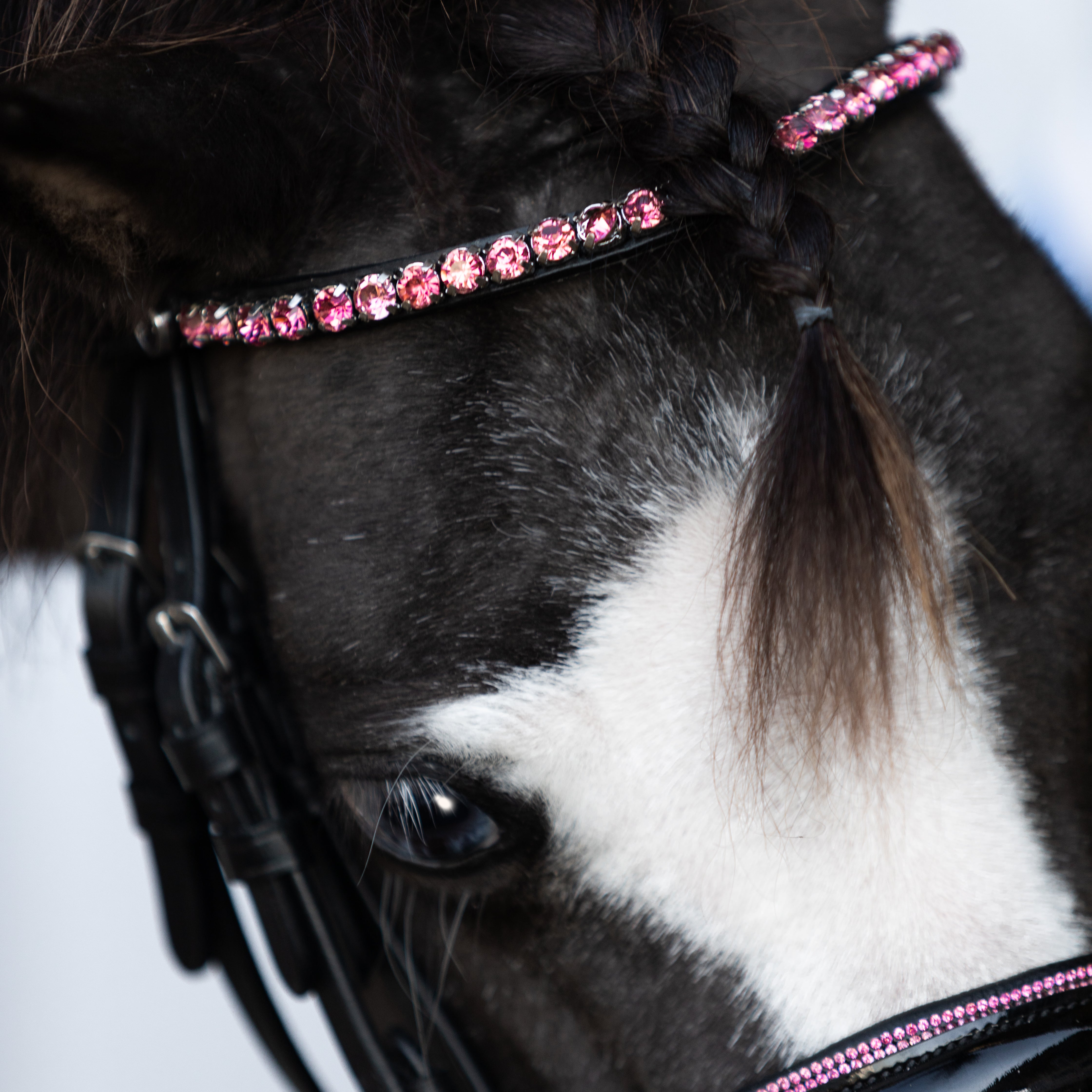 Fairyfloss bridle (Lumi Pony) - Lumiere Equestrian