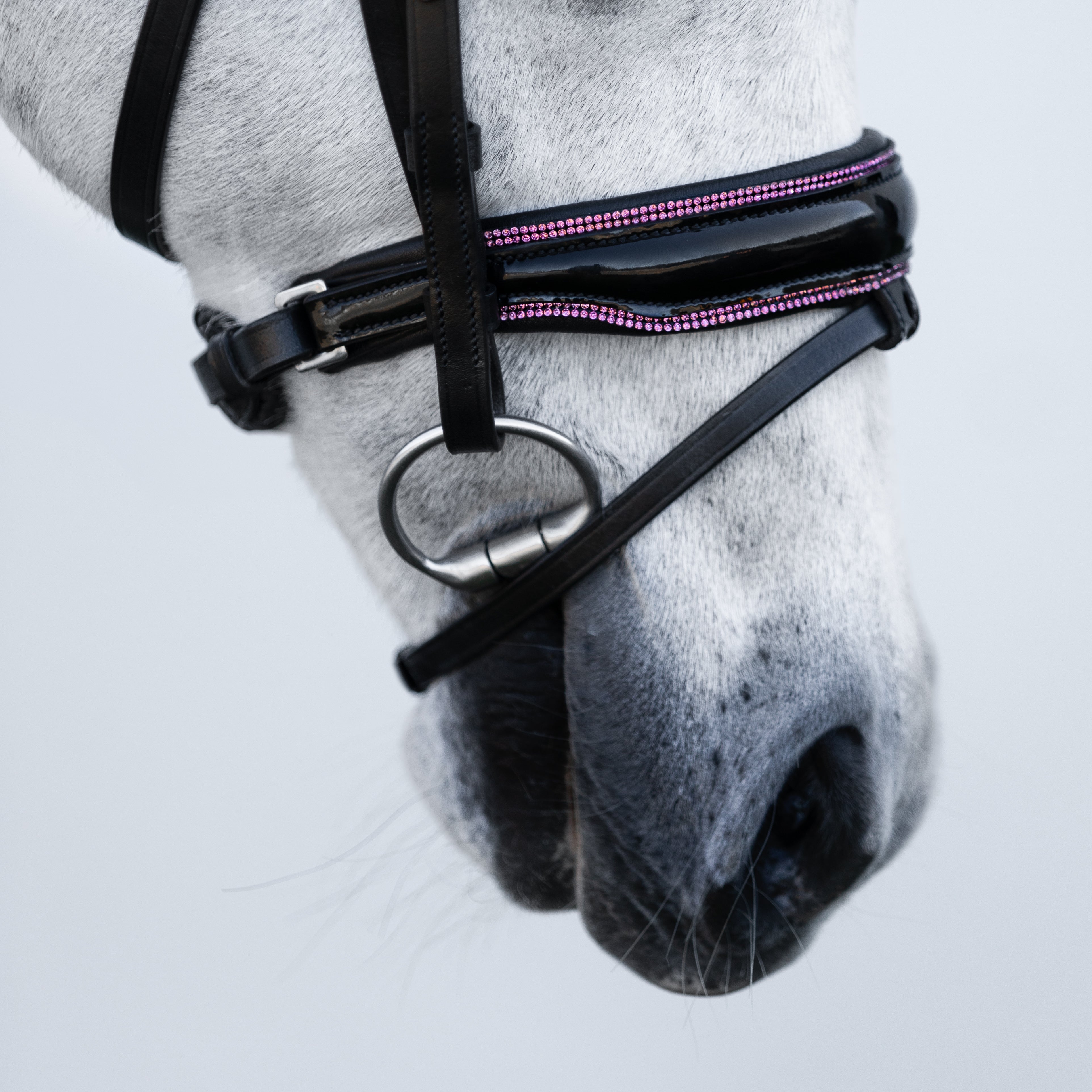 Fairyfloss bridle (Lumi Pony) - Lumiere Equestrian