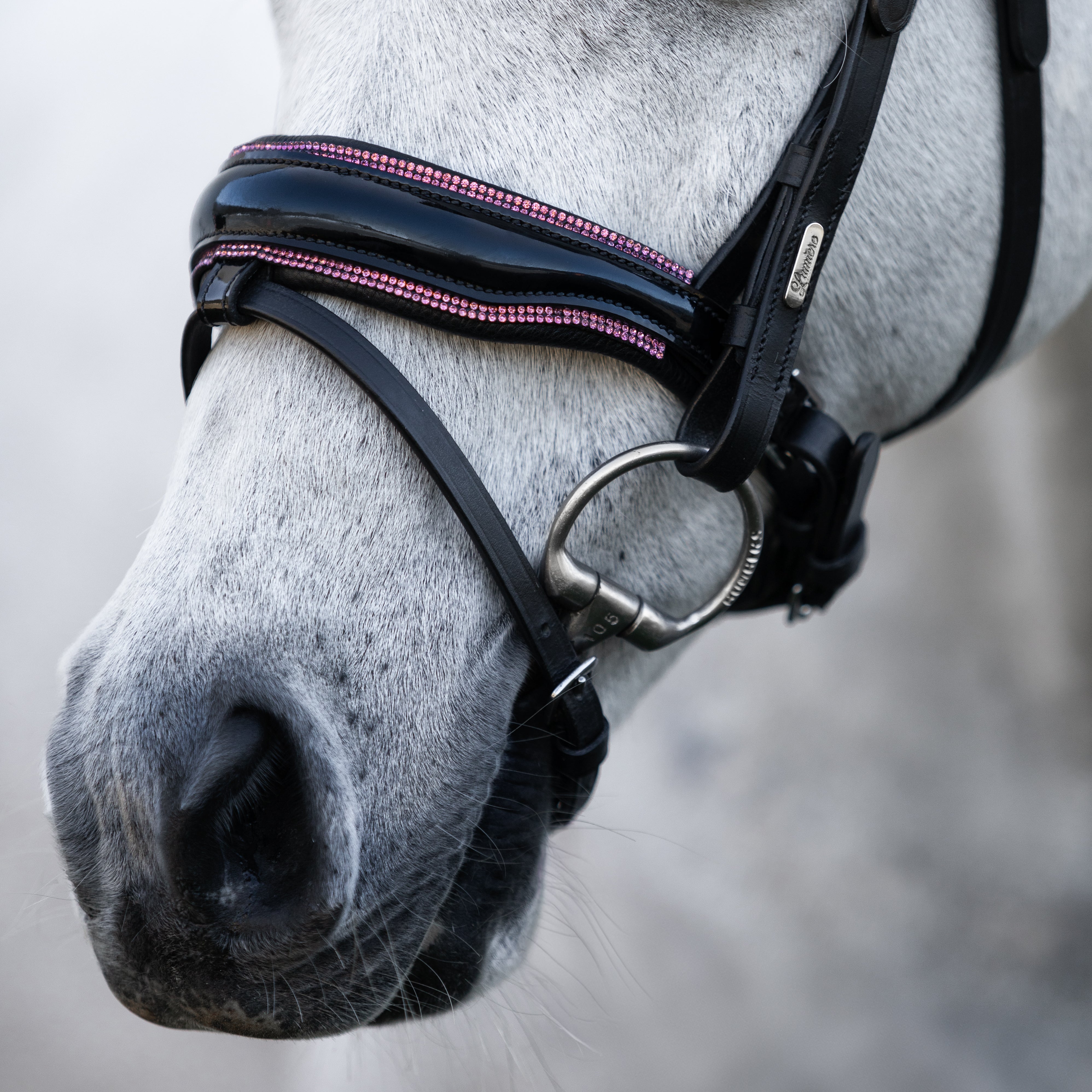 Fairyfloss bridle (Lumi Pony) - Lumiere Equestrian
