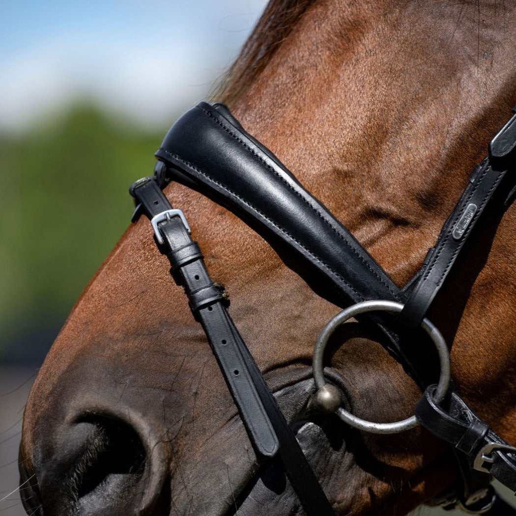 'Mikayla' Leather Bridle (Convertible) - Lumiere Equestrian