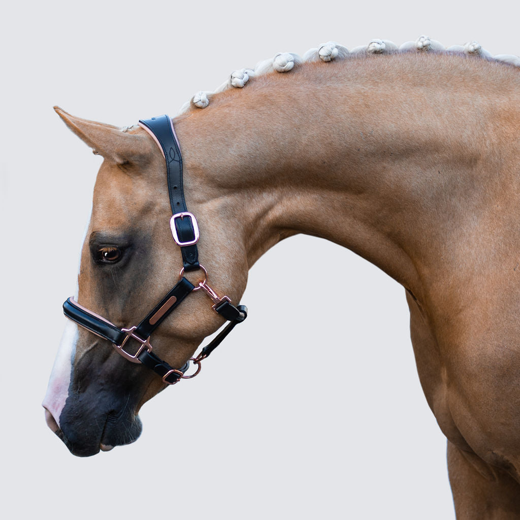 'Hollywood' leather halter (Lumi Pony) - Lumiere Equestrian