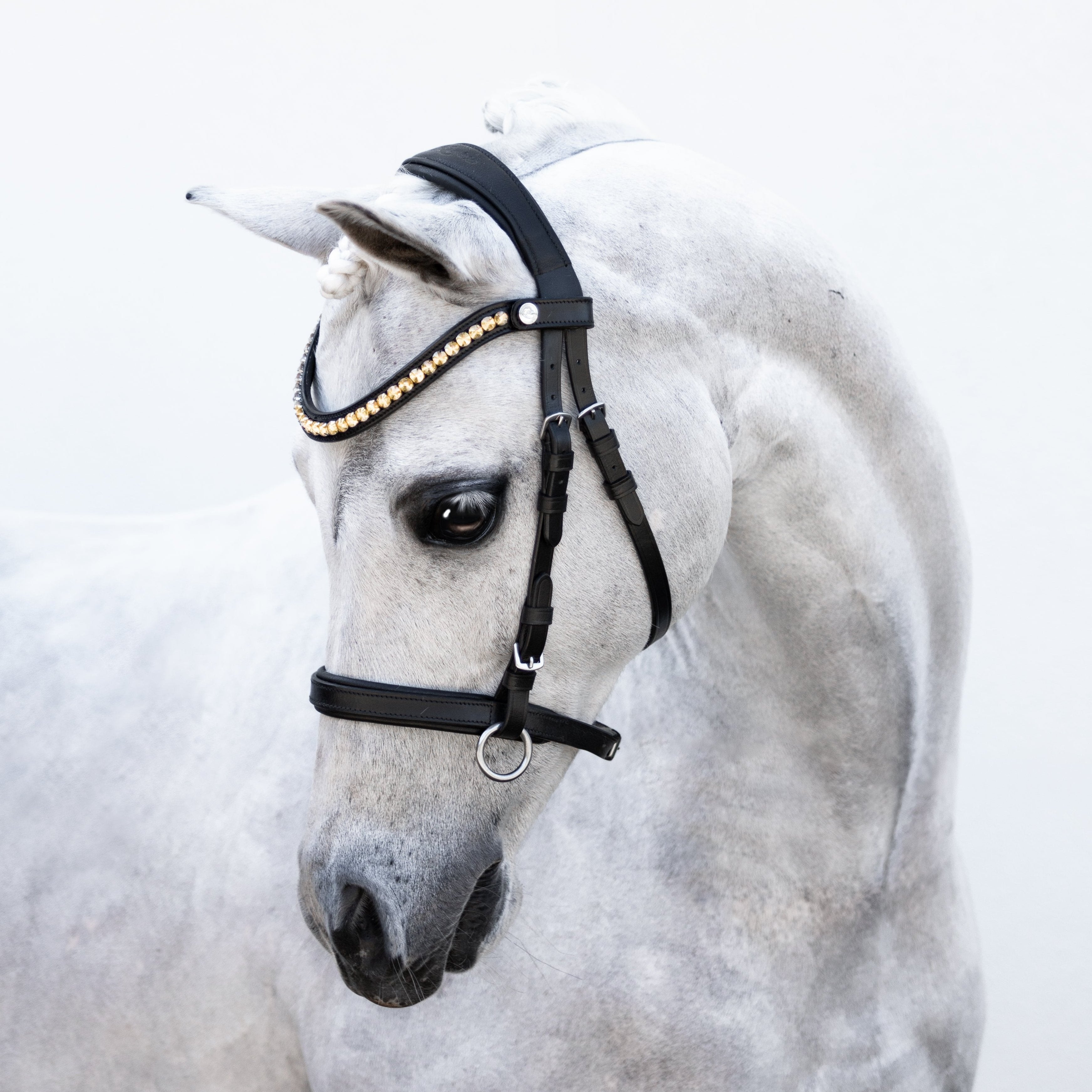 Iddy Biddy Bitless bridle (Lumi Pony) Clearance - Lumiere Equestrian
