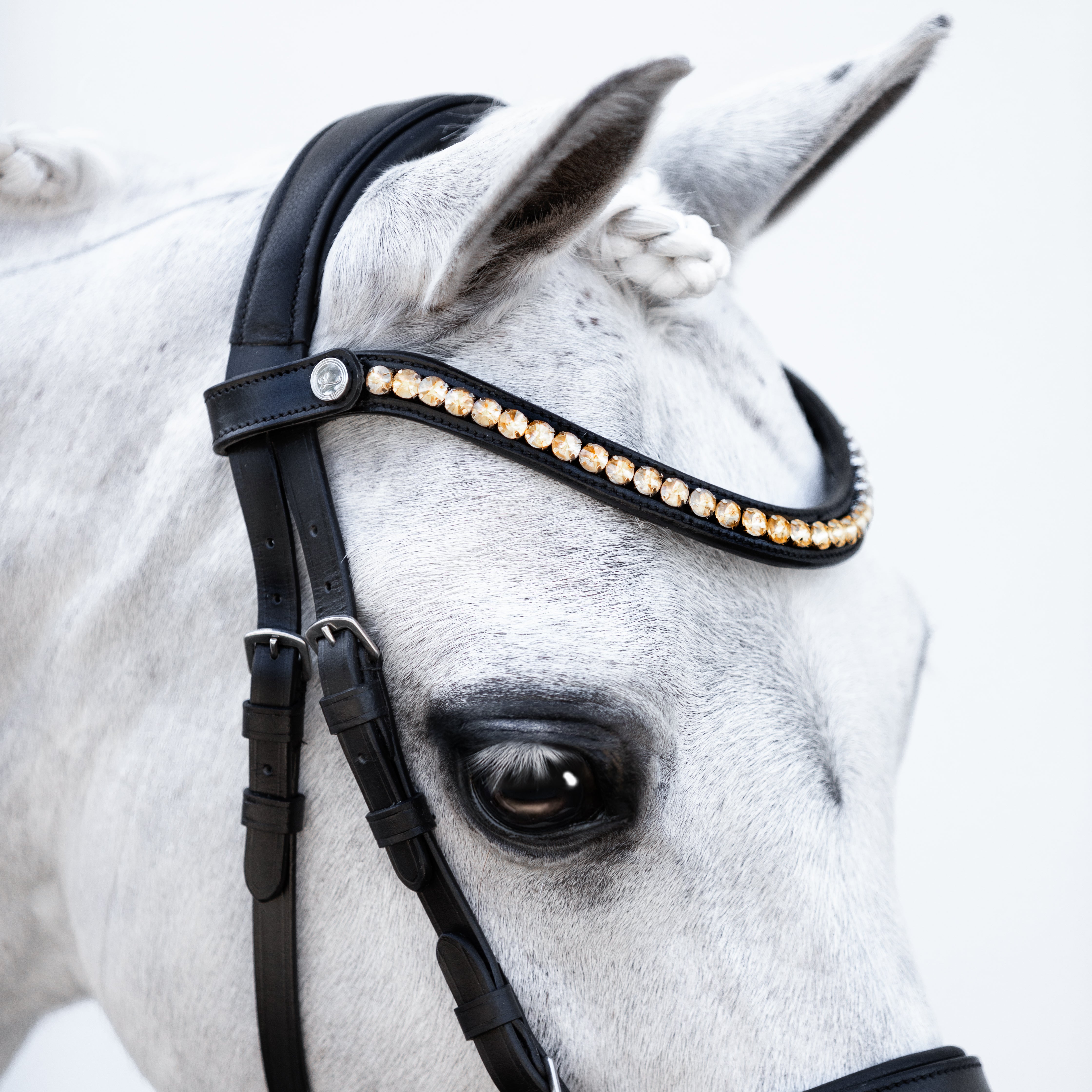 Iddy Biddy Bitless bridle (Lumi Pony) Clearance - Lumiere Equestrian