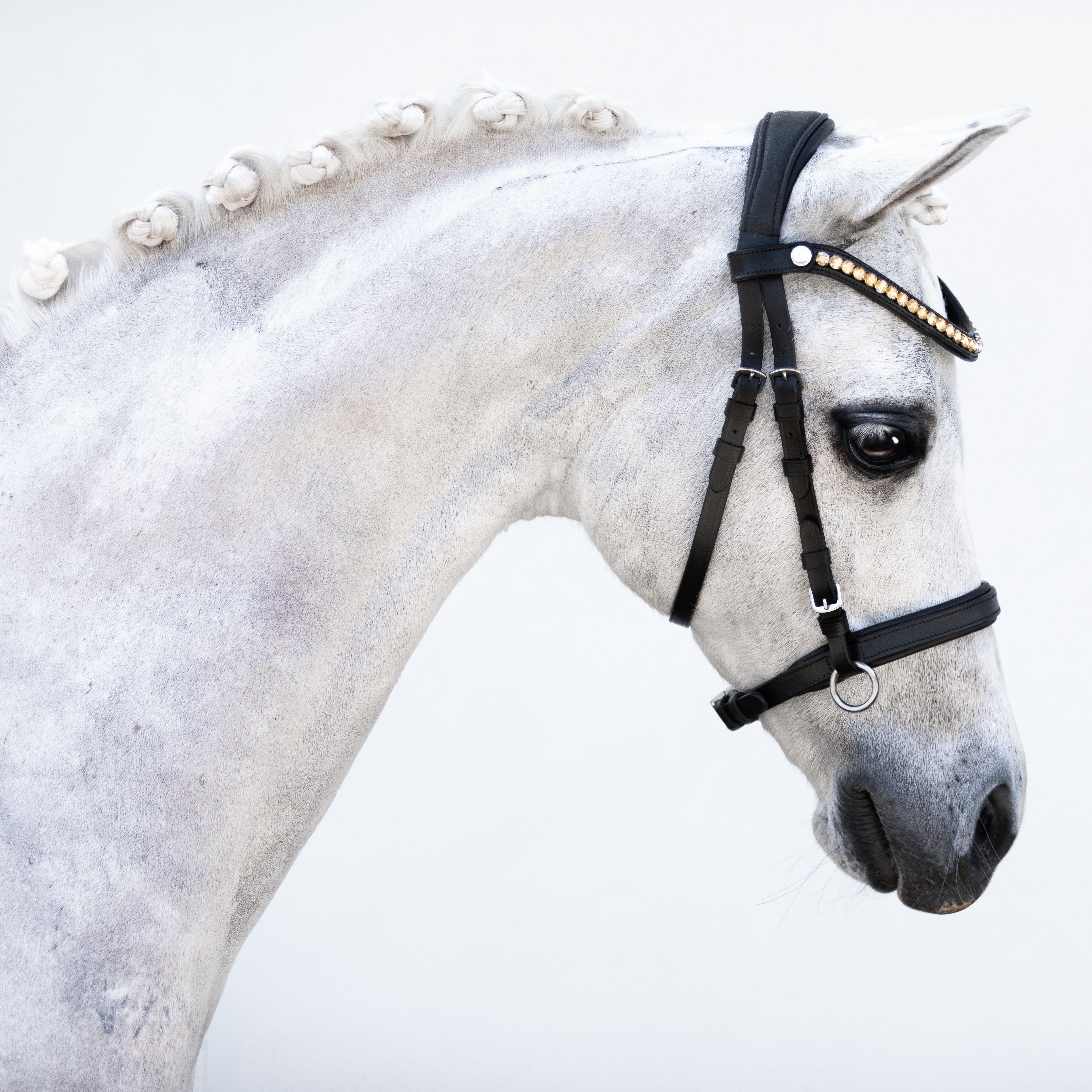 Iddy Biddy Bitless bridle (Lumi Pony) Clearance - Lumiere Equestrian
